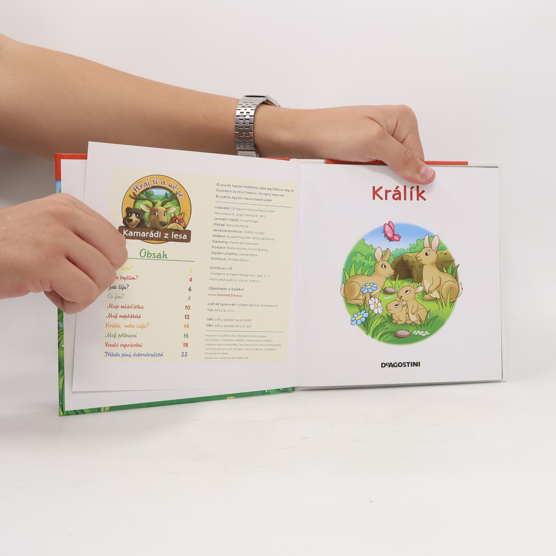 Various authors Na okraji lesa č. 49. Králík