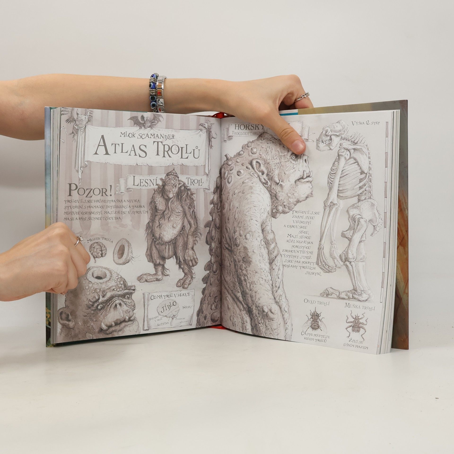 Joanne K. Rowlingová Harry Potter a kámen mudrců