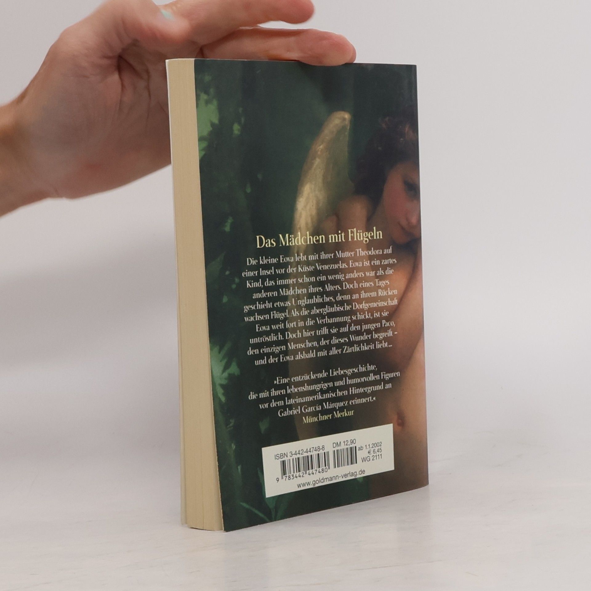 Clara Dupont Monod Das Mädchen mit Flügeln