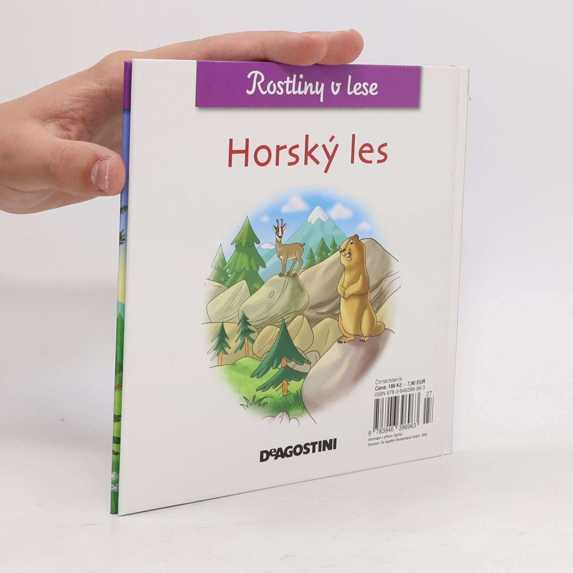 Various authors Rostliny v lese 23. Horský les