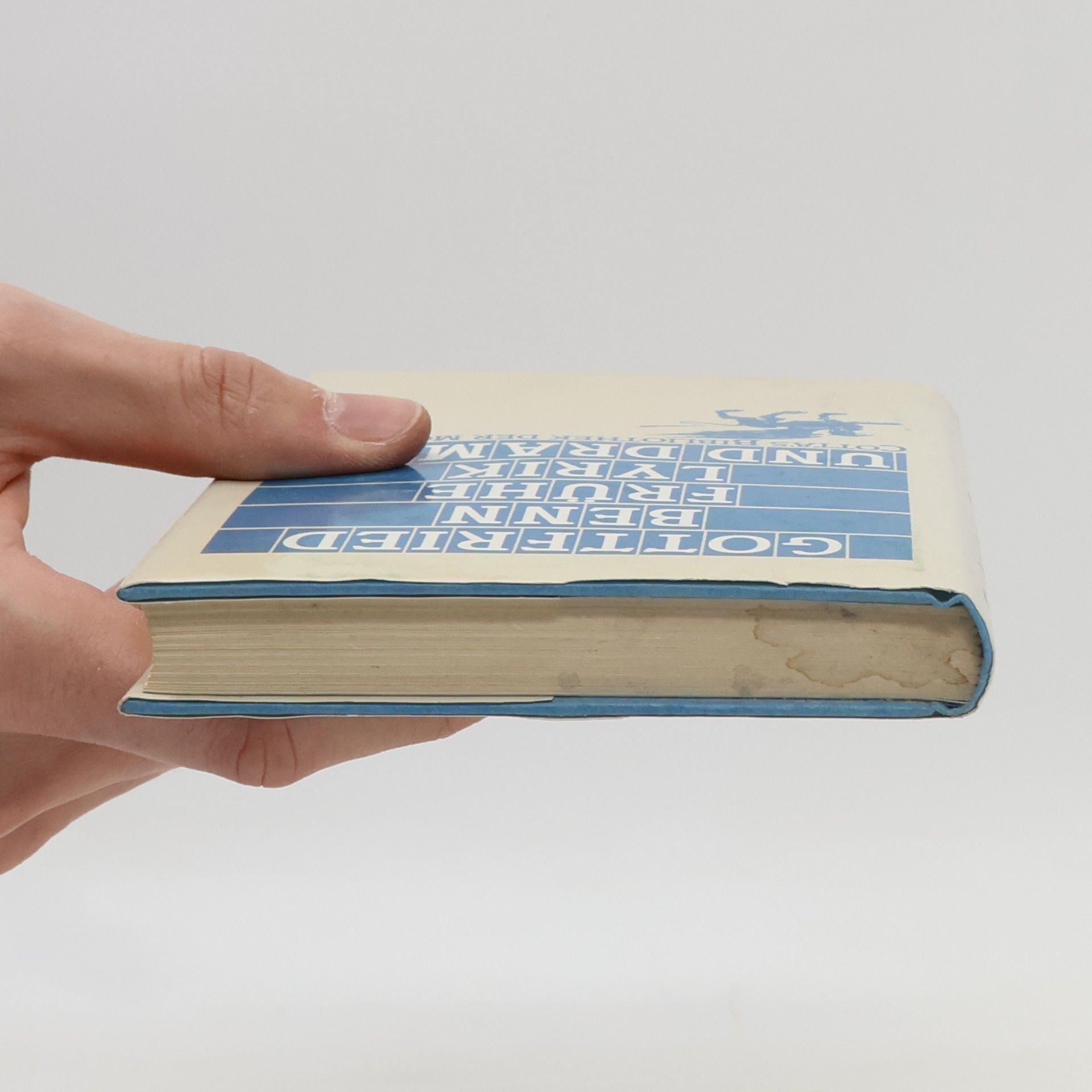 Gottfried Benn Cotta's Bibliothek der Moderne - 8: Frühe Lyrik und Dramen