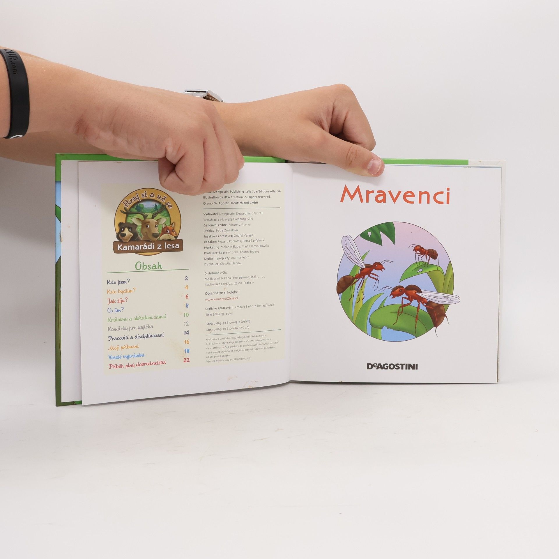 Autores varios Bydlím v lese 30. Mravenci