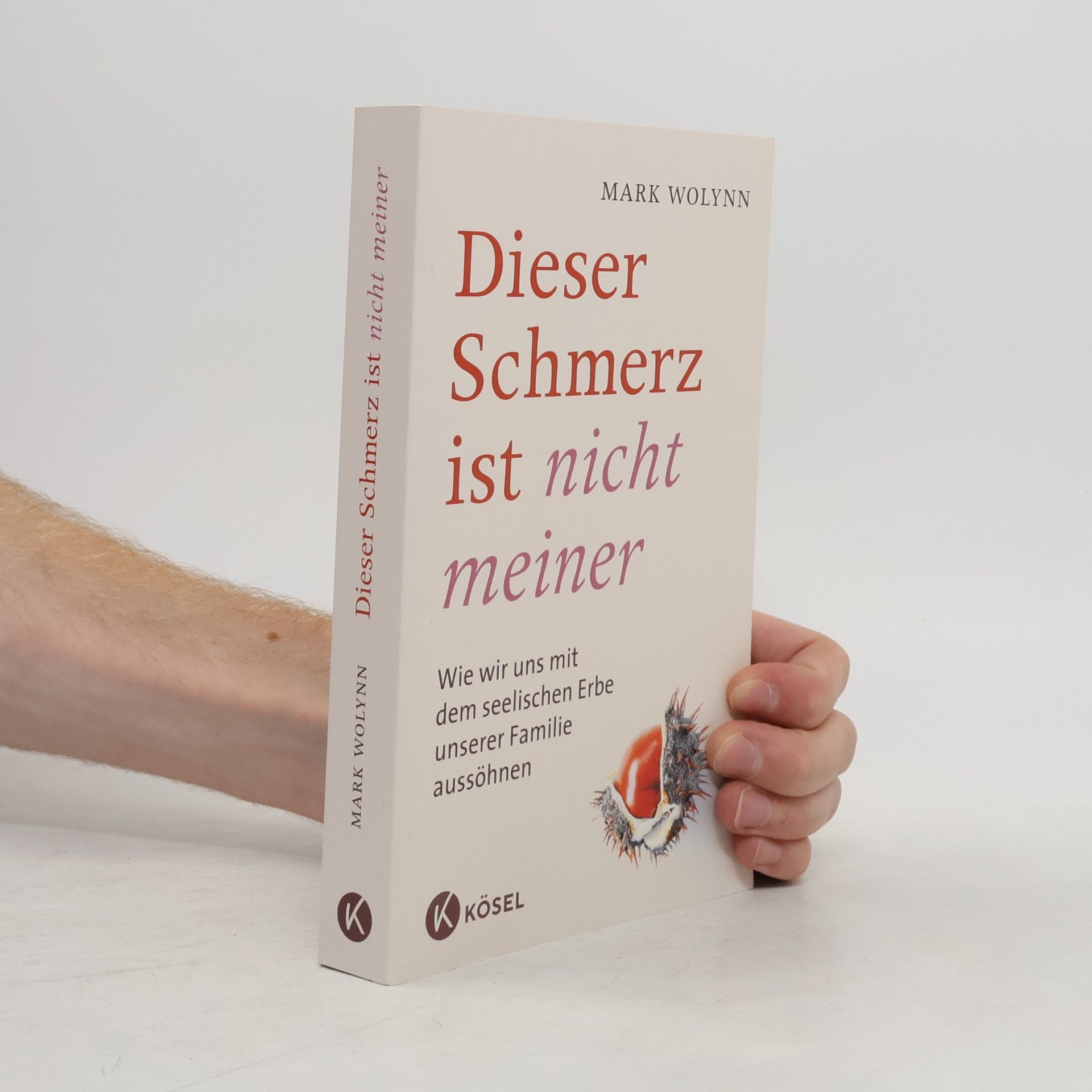 Mark Wolynn Dieser Schmerz ist nicht meiner