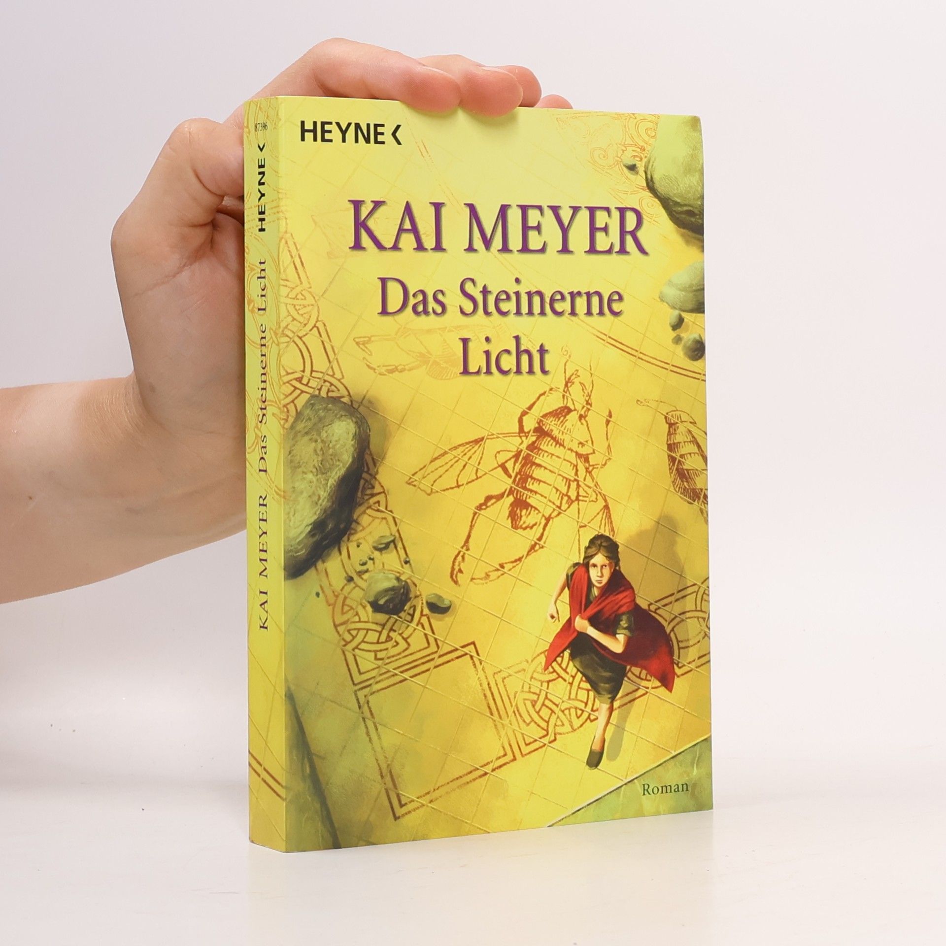 Kai Meyer Das steinerne Licht