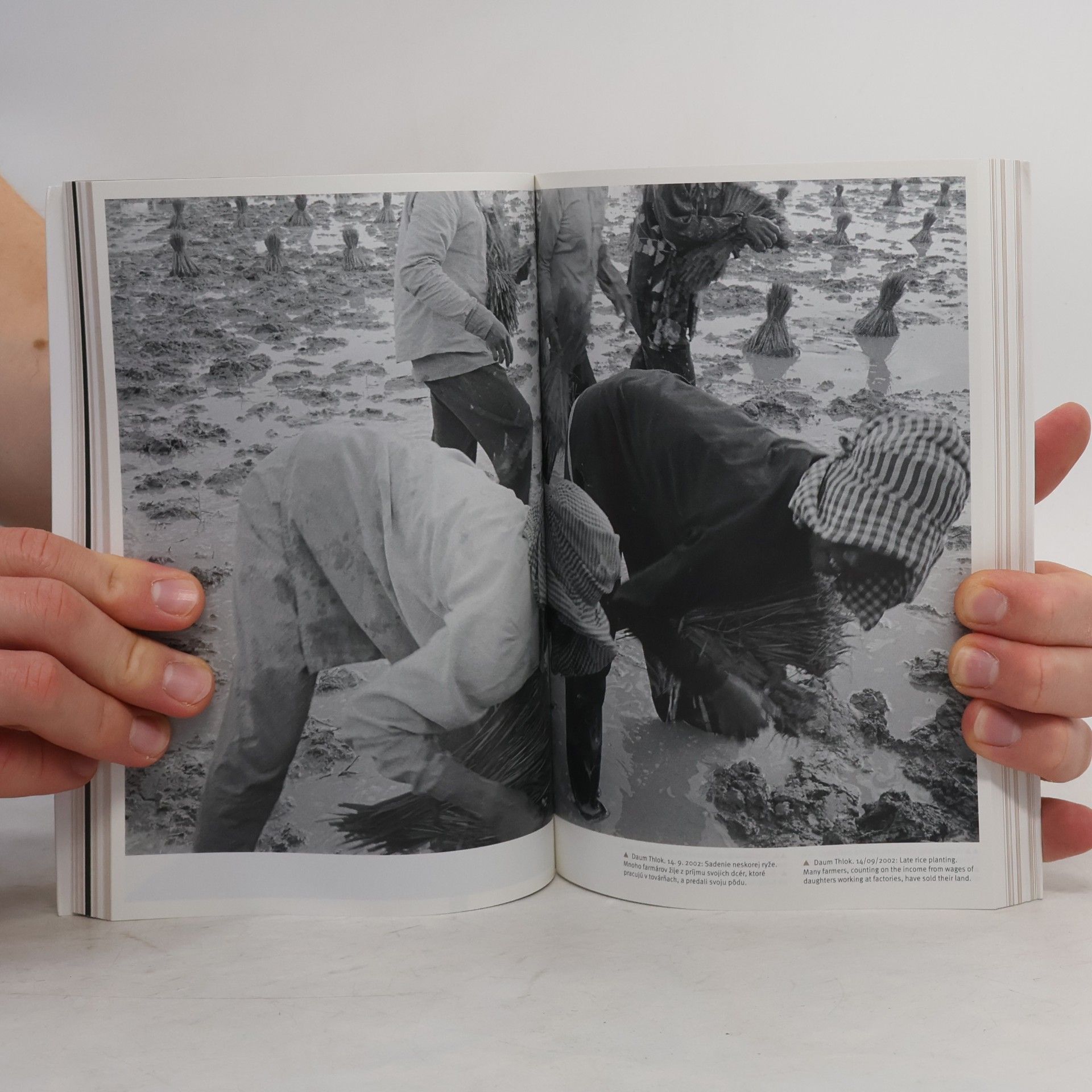 Autores varios Inside. Chudoba. Poverty 1/2010