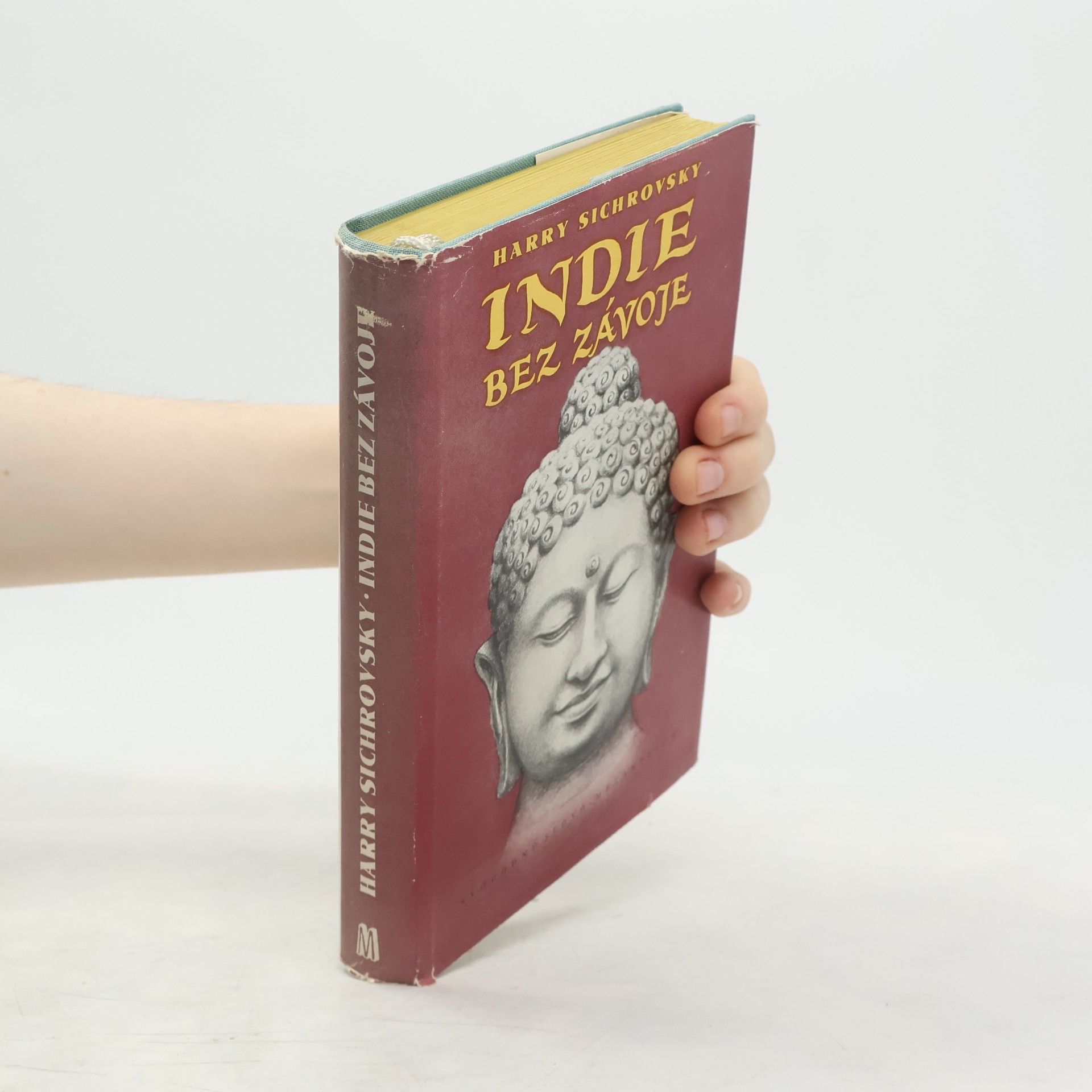 Harry Sichrovsky Indie bez závoje
