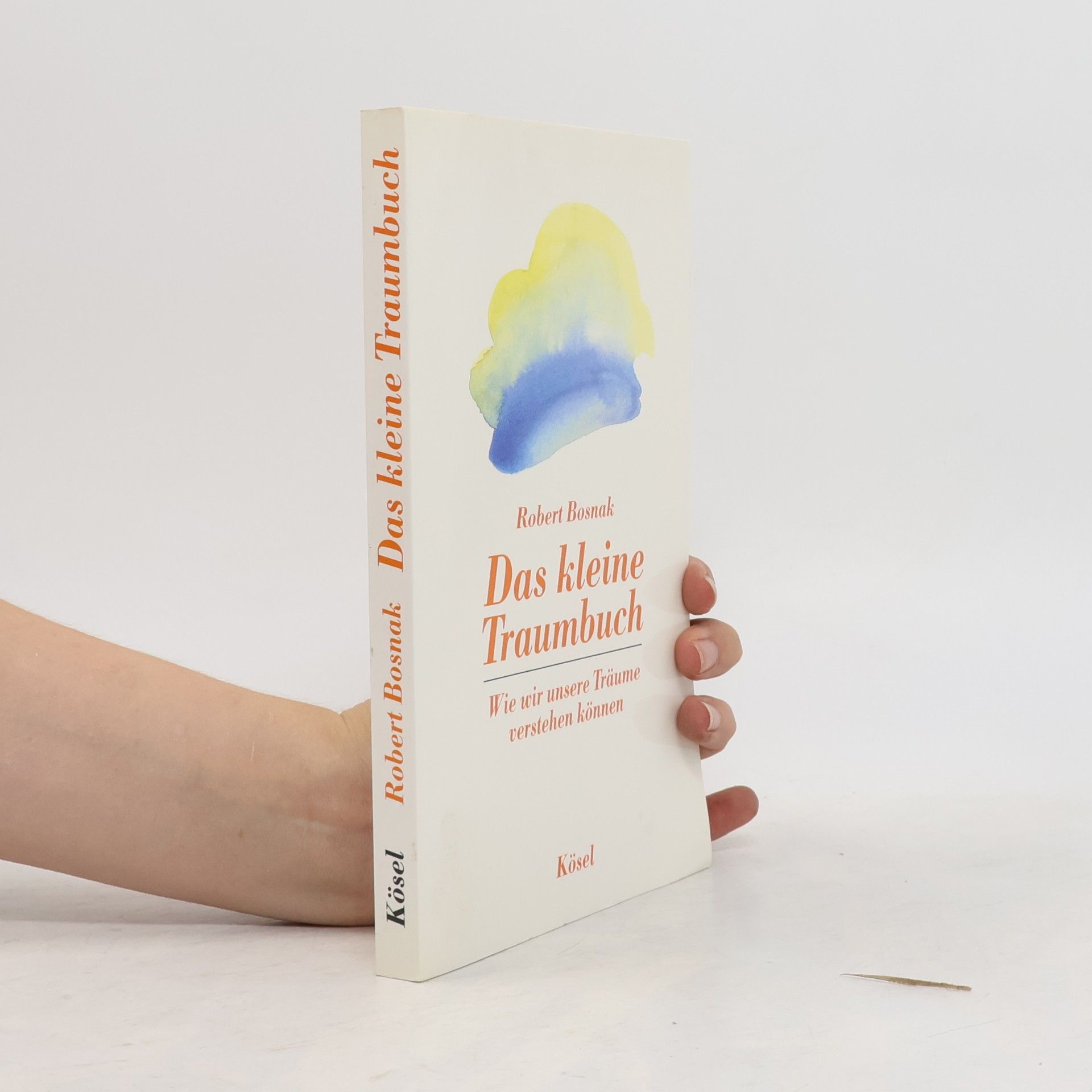 Robert Bosnak Das kleine Traumbuch