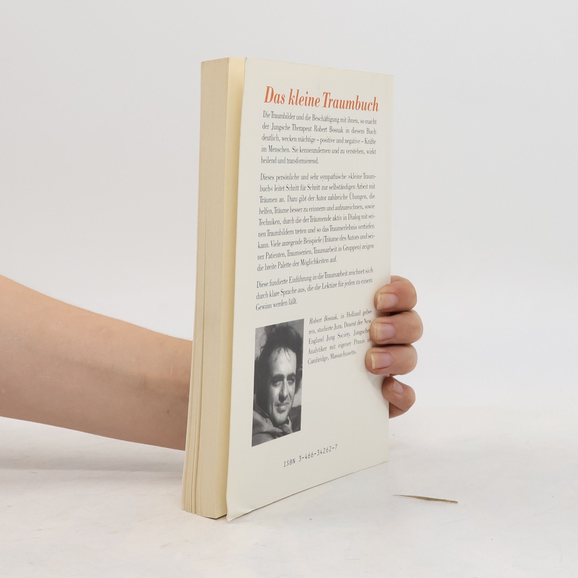 Robert Bosnak Das kleine Traumbuch