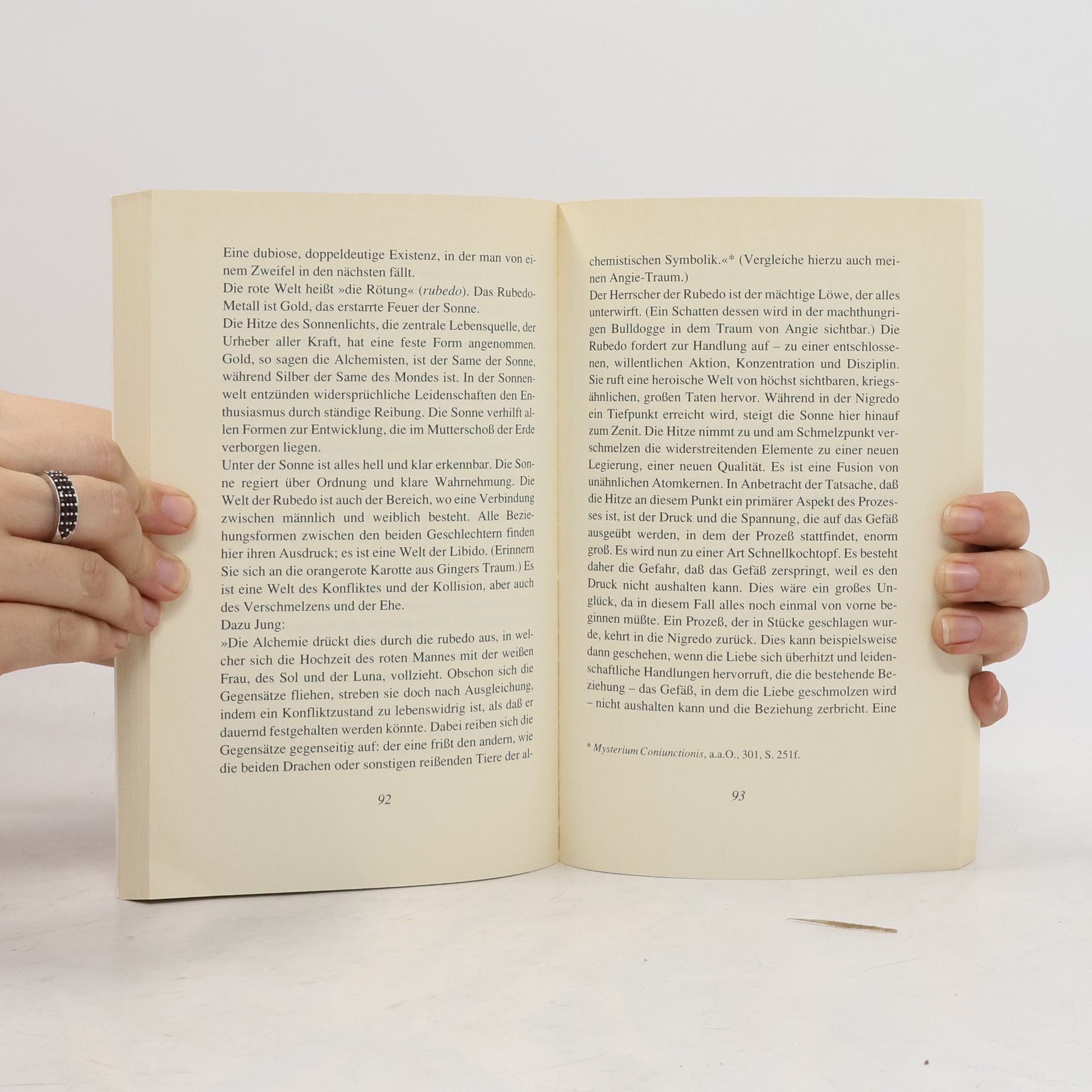 Robert Bosnak Das kleine Traumbuch