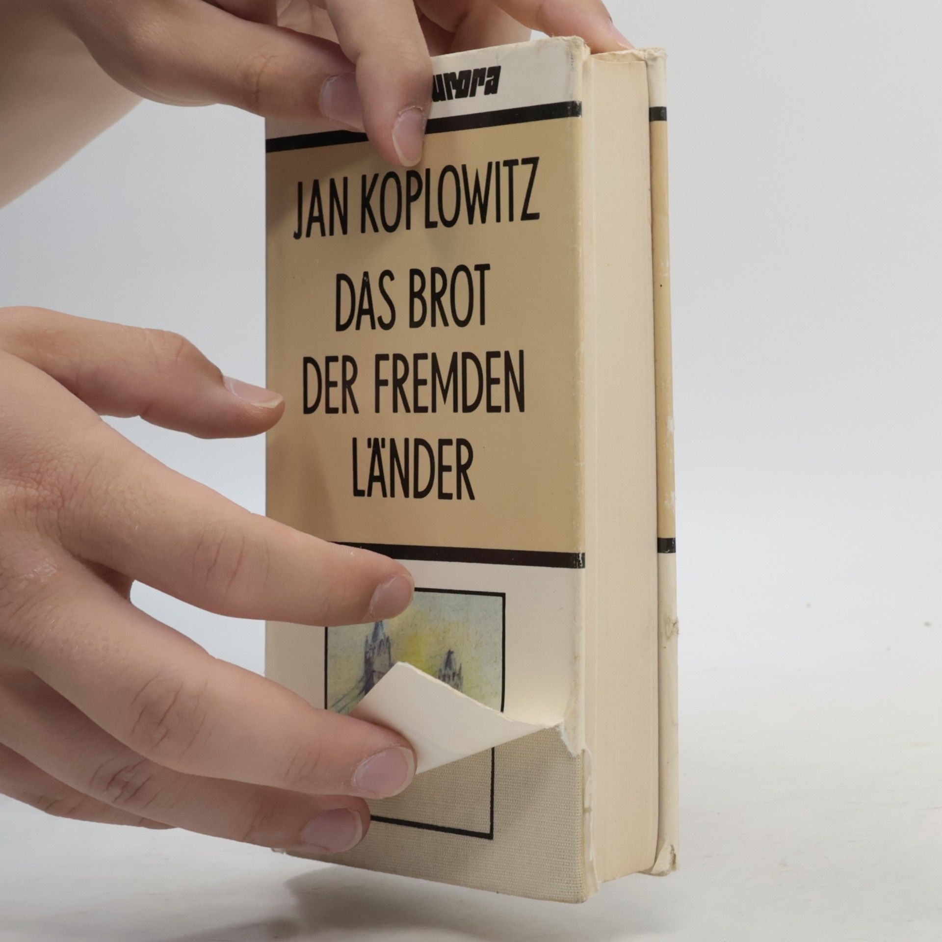 Jan Koplowitz Edition Aurora: Das Brot der fremden Länder