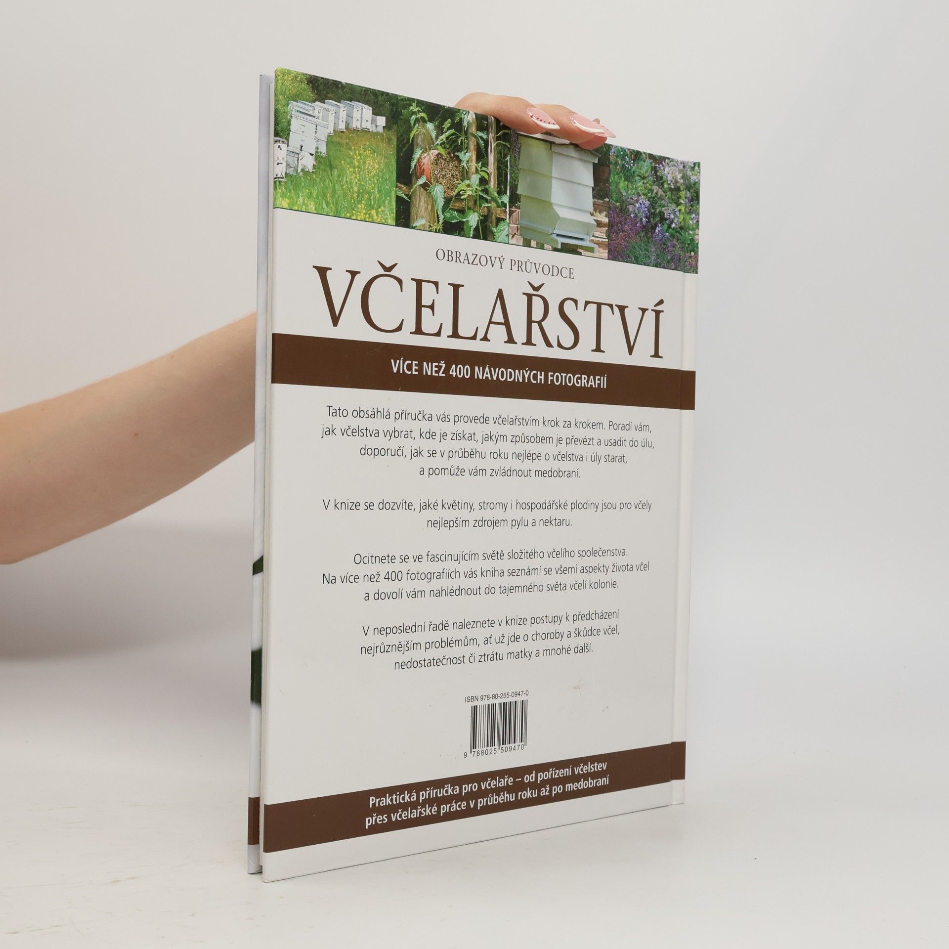 David Cramp Včelařství