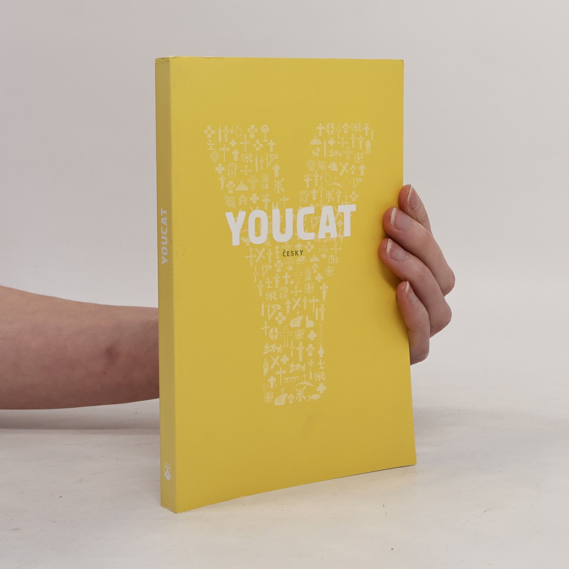 Collectif d'auteurs Youcat: katechismus katolické církve pro mladé