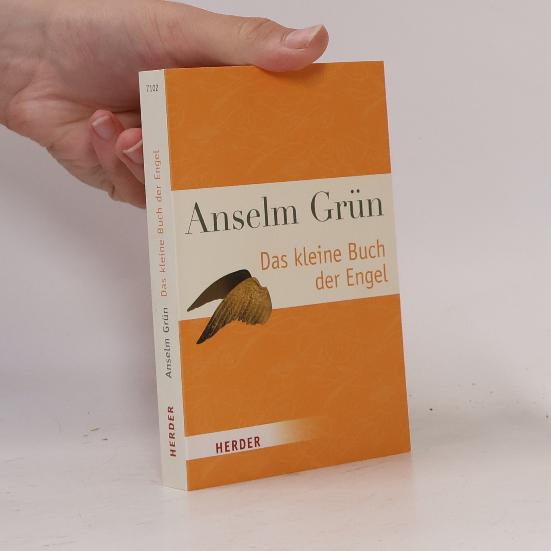 Anselm Grün Das kleine Buch der Engel