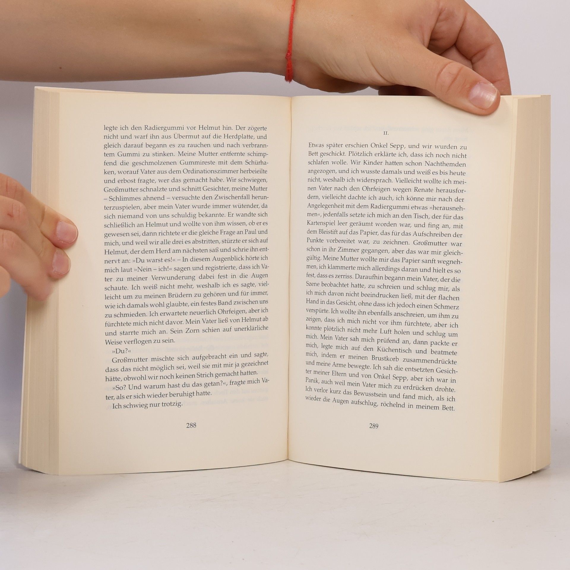 Gerhard Roth Das Alphabet der Zeit