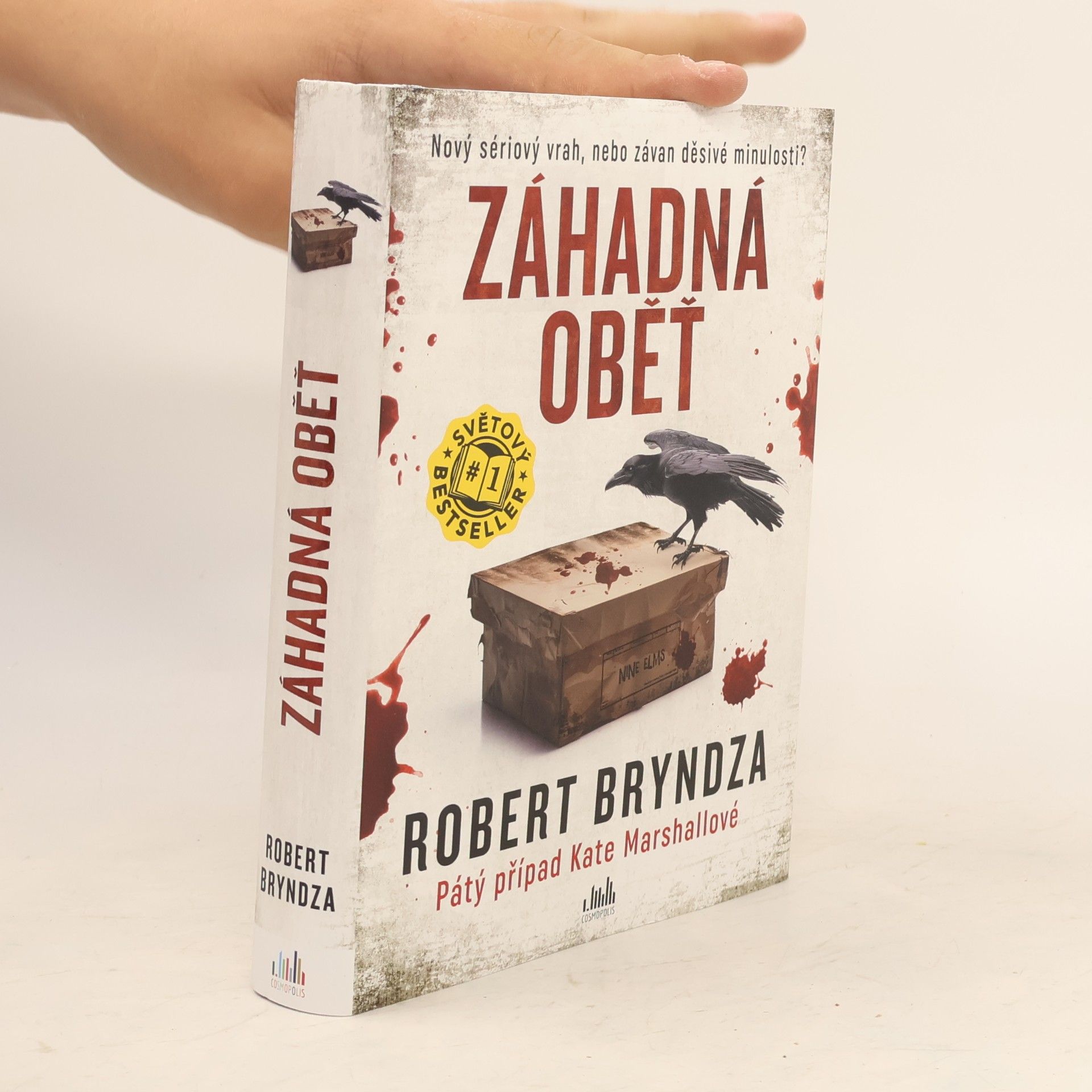 Robert Bryndza Záhadná oběť