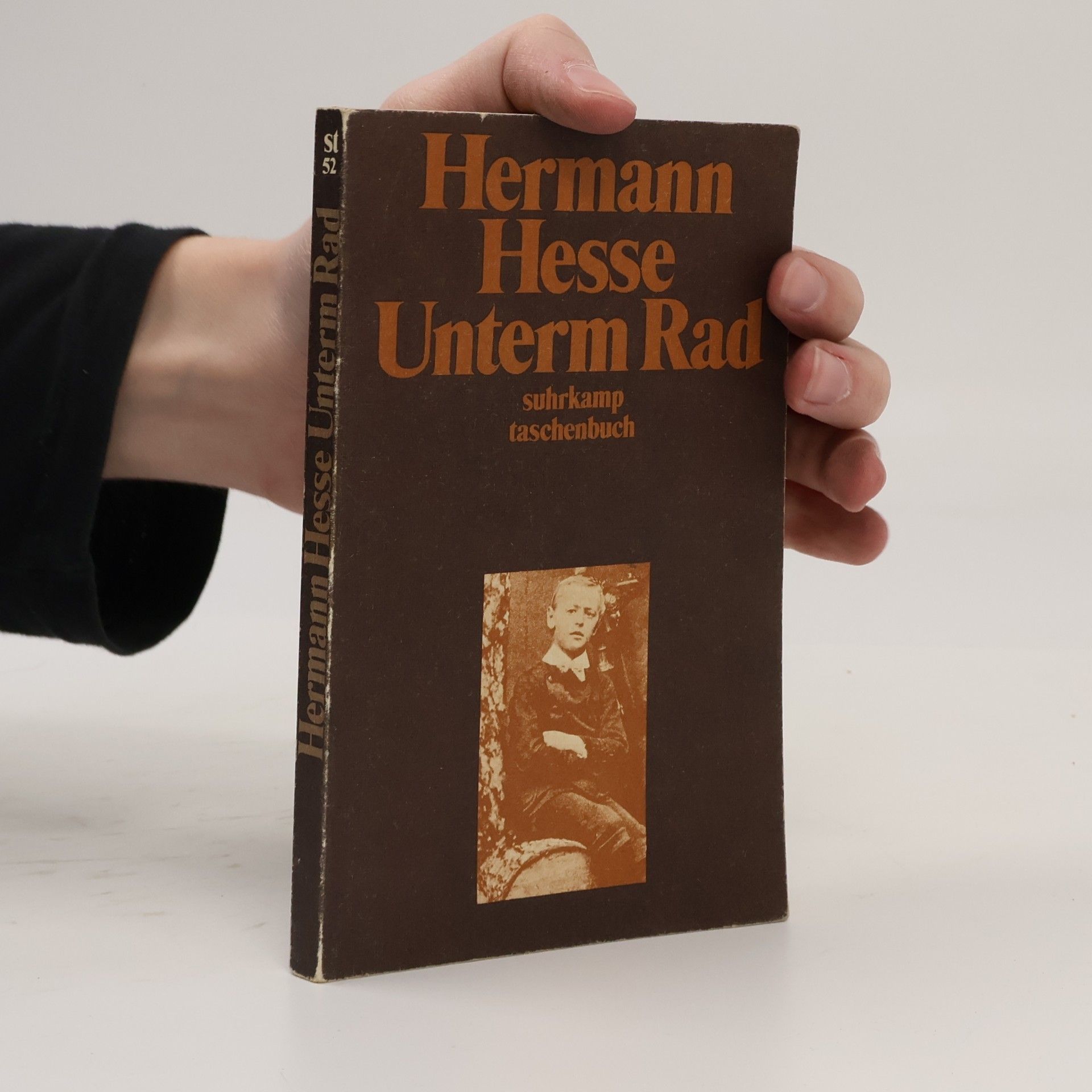 Hermann Hesse Unterm Rad