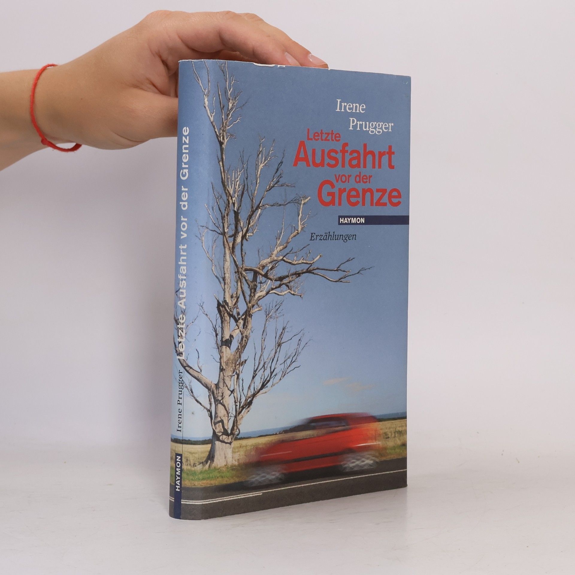 Irene Prugger Letzte Ausfahrt vor der Grenze