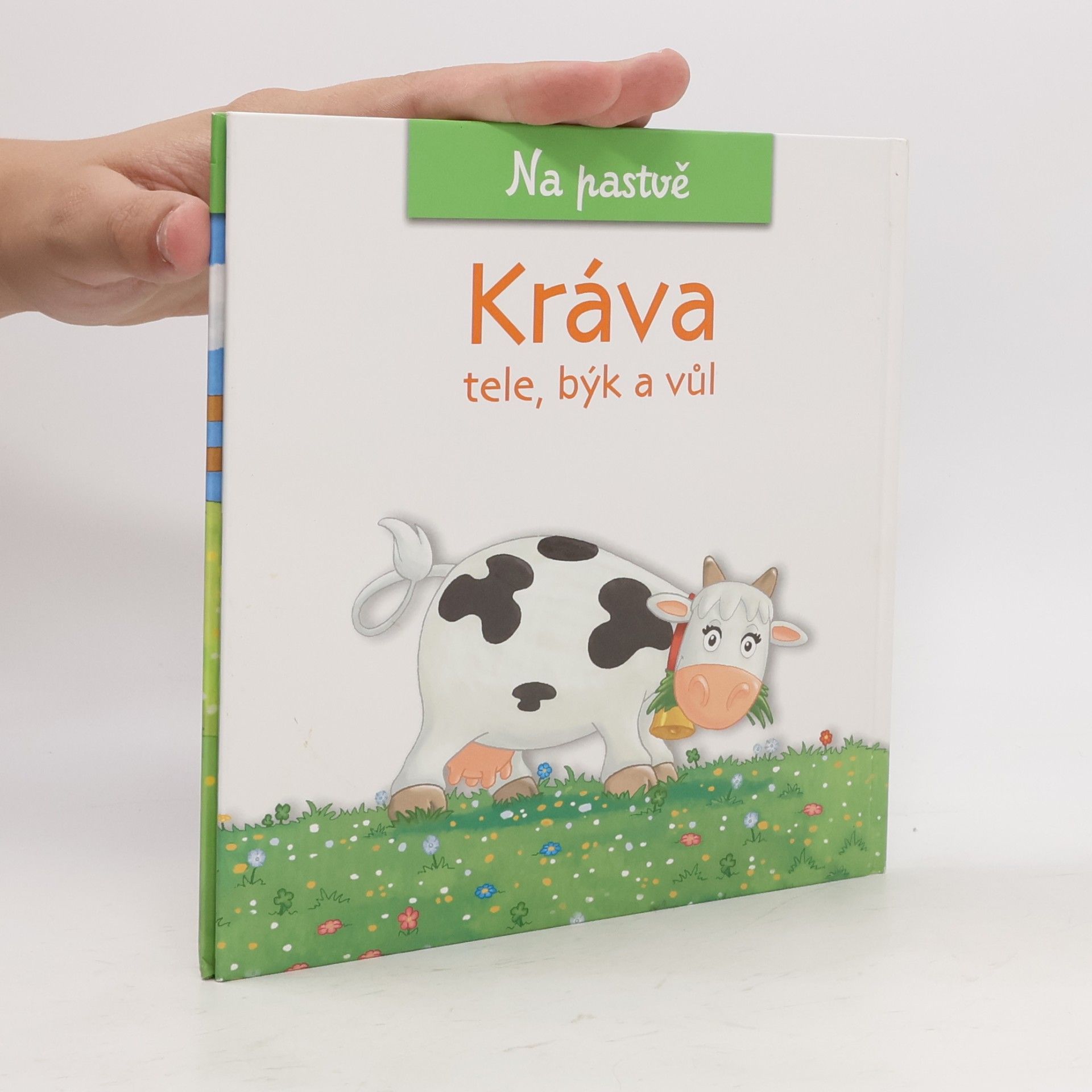 Amelia Bruni Na pastvě 1. Kráva