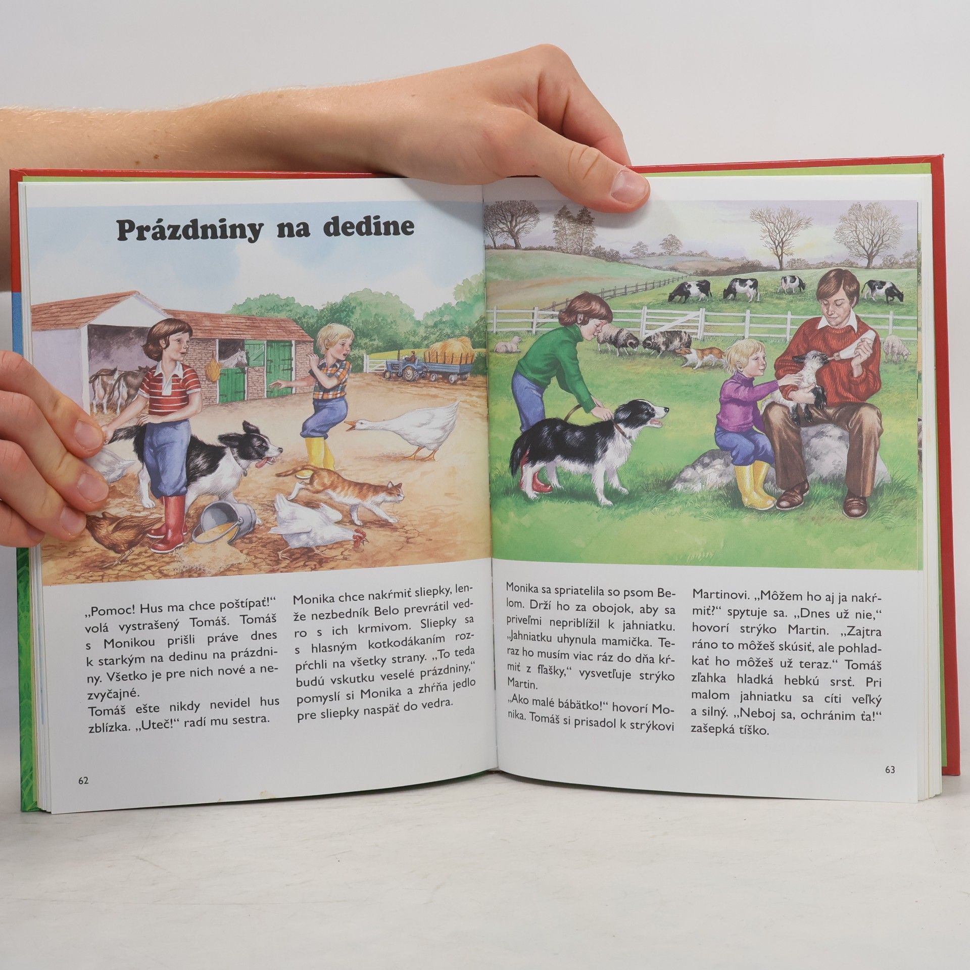 Autorenkollektiv Najkrajšie rozprávky z gazdovského dvora