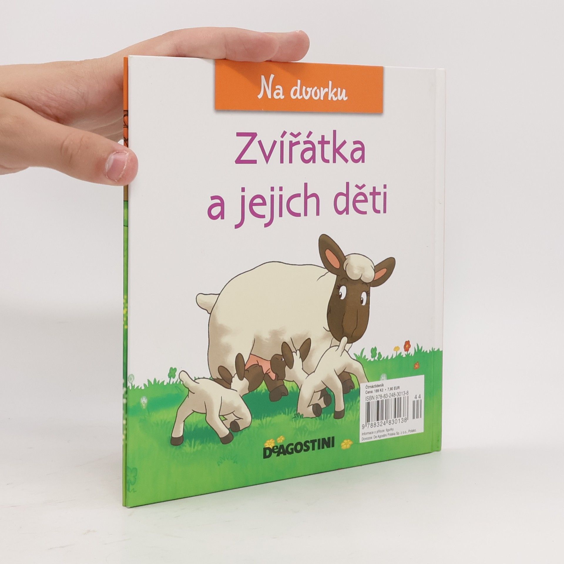 Autorenkollektiv Na dvorku 19. Zvířátka a jejich děti