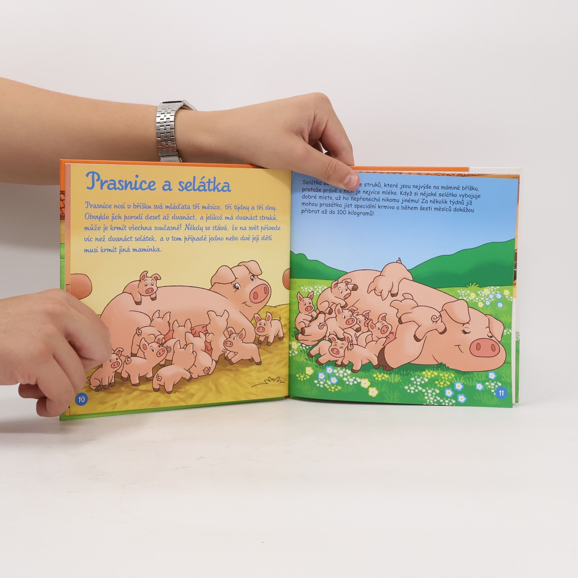 Autorenkollektiv Na dvorku 19. Zvířátka a jejich děti