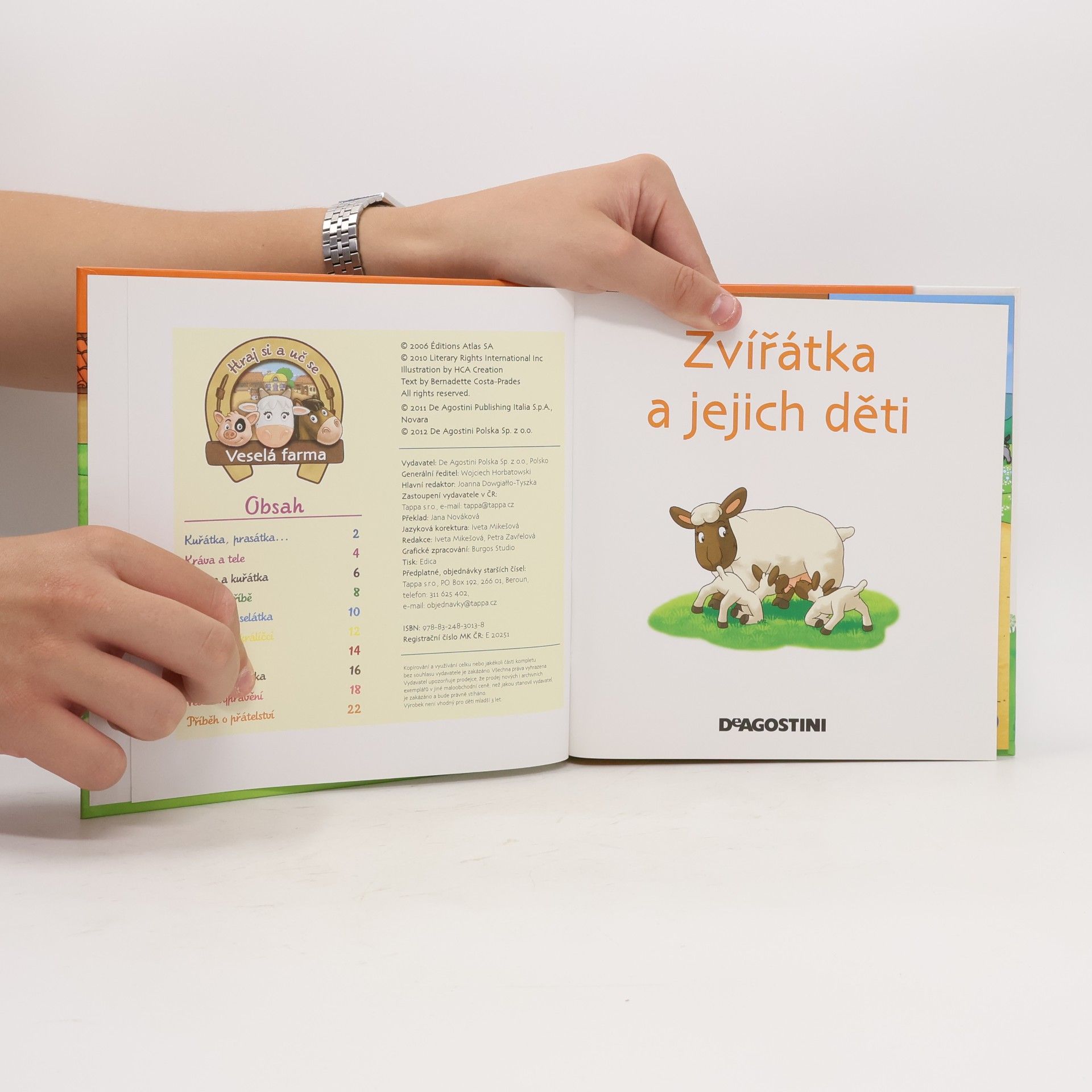 Autorenkollektiv Na dvorku 19. Zvířátka a jejich děti