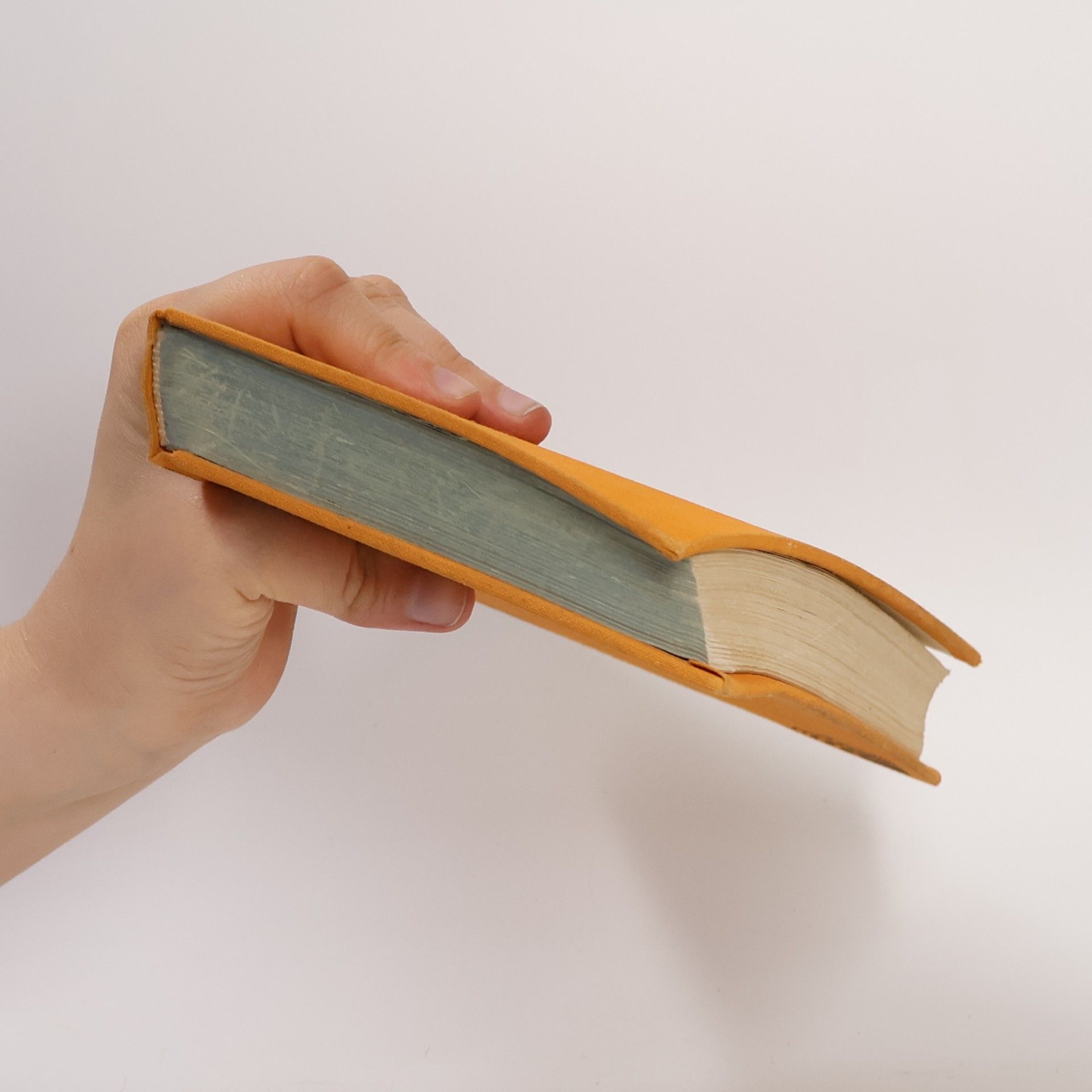 Richard Wenz Meister Novellen neuerer Erzähler