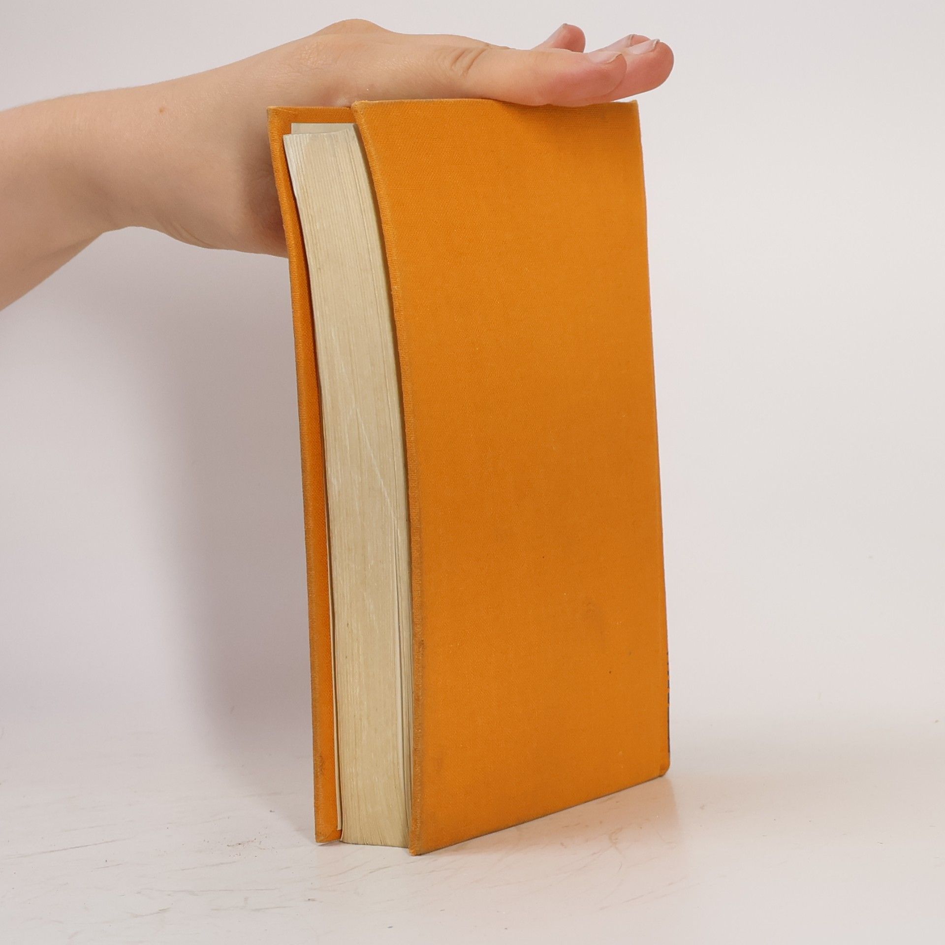 Richard Wenz Meister Novellen neuerer Erzähler