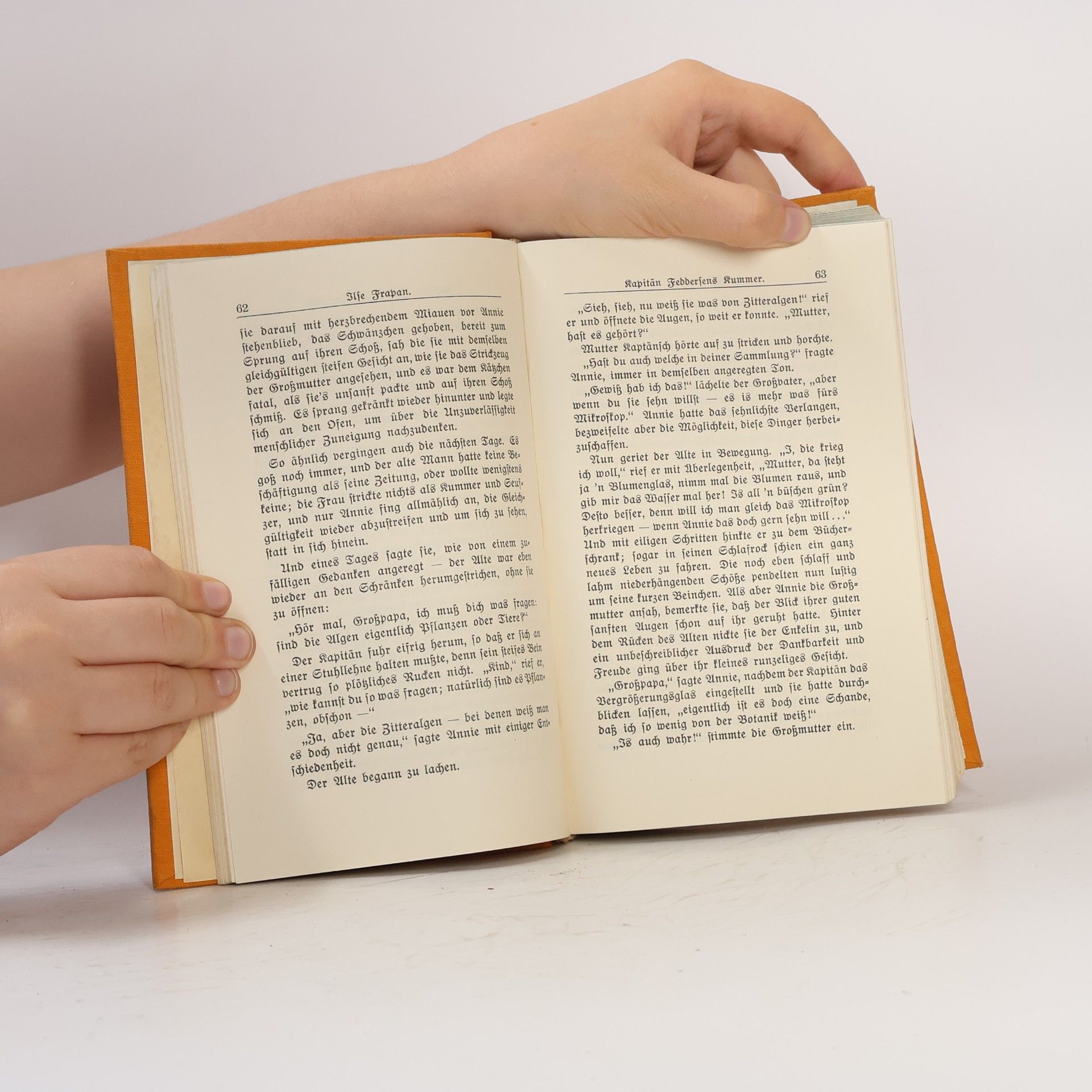 Richard Wenz Meister Novellen neuerer Erzähler