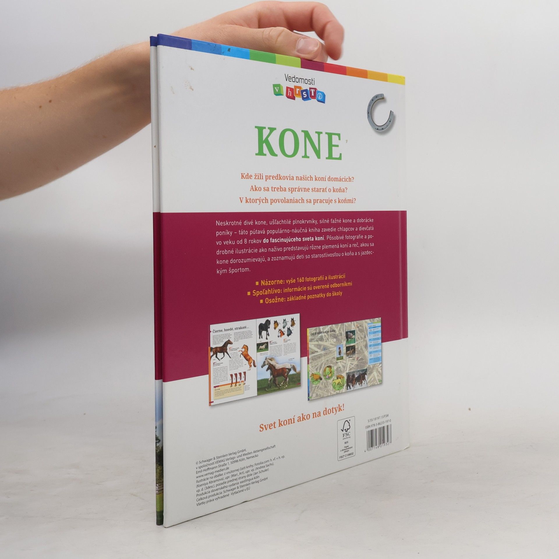 Anja Schriever Kone