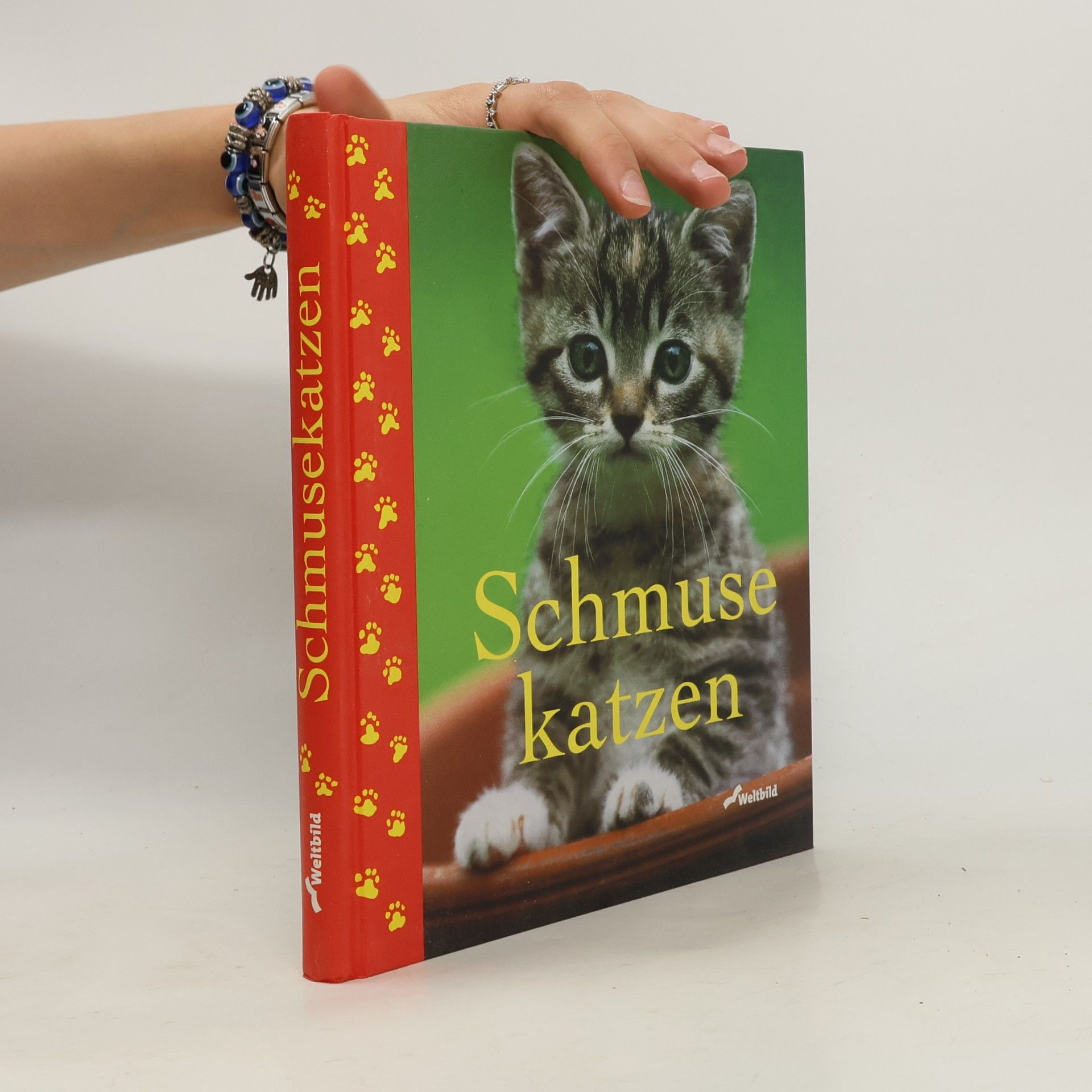 Monika Auberger Schmuse katzen