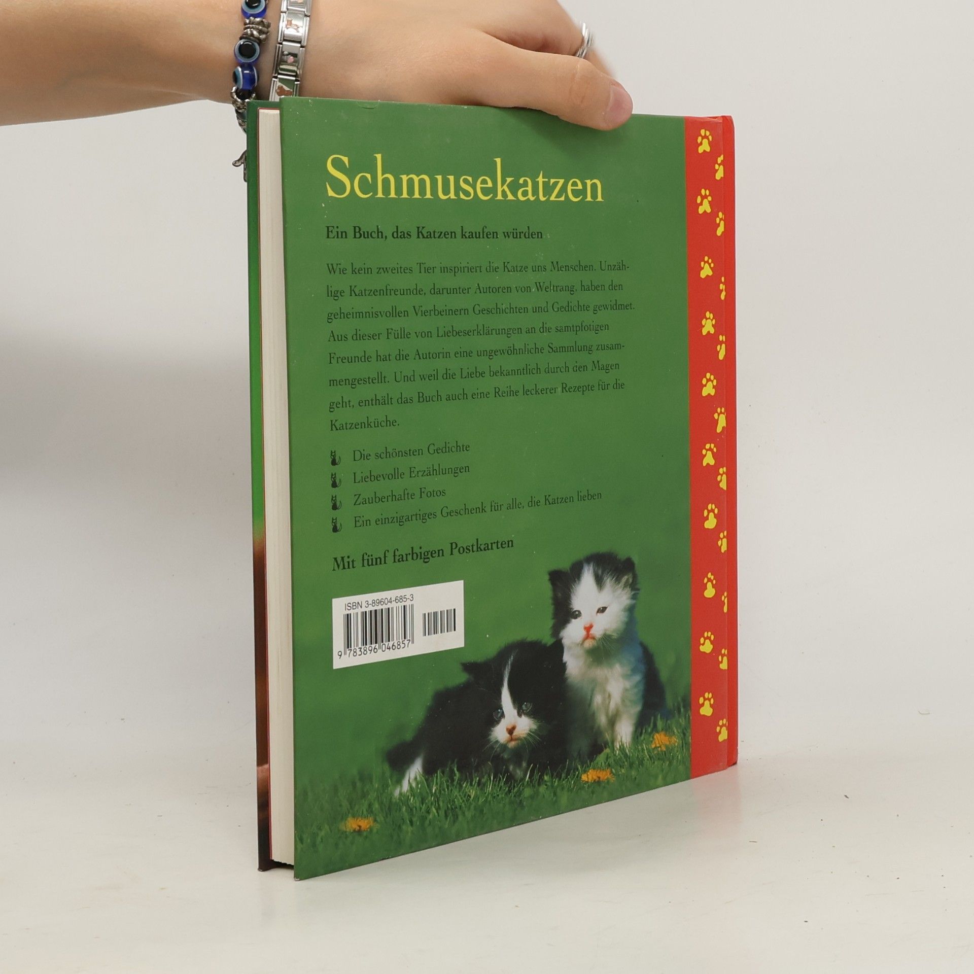 Monika Auberger Schmuse katzen