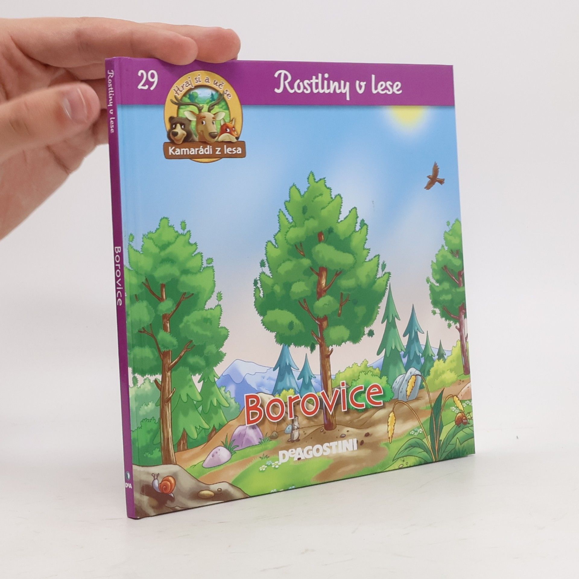 Kolektiv autorů Rostliny v lese 29. Borovice