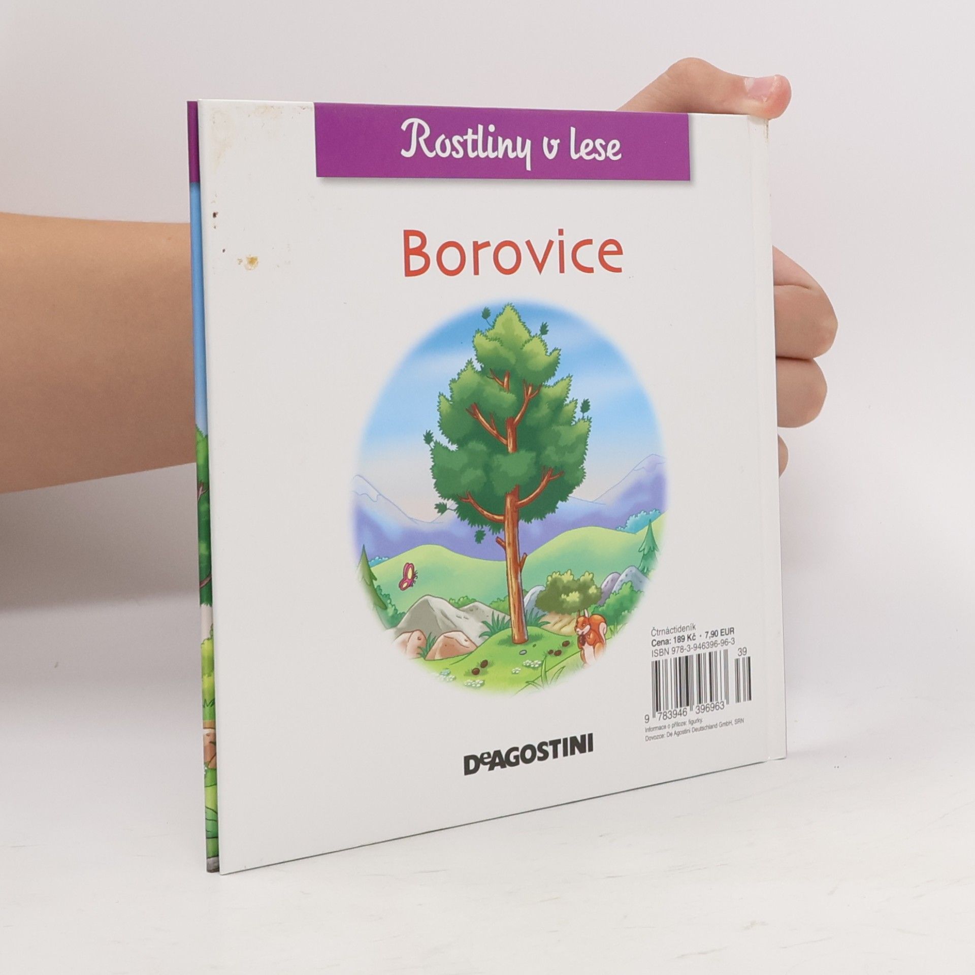 Kolektiv autorů Rostliny v lese 29. Borovice