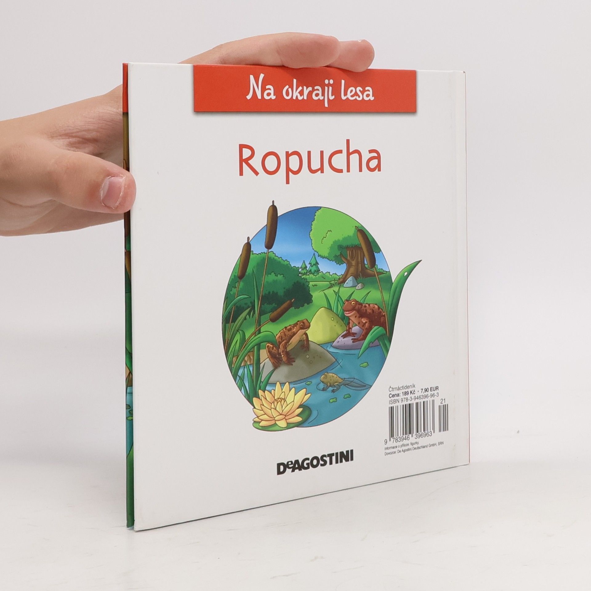 Kolektiv autorů Na okraji lesa 20. Ropucha
