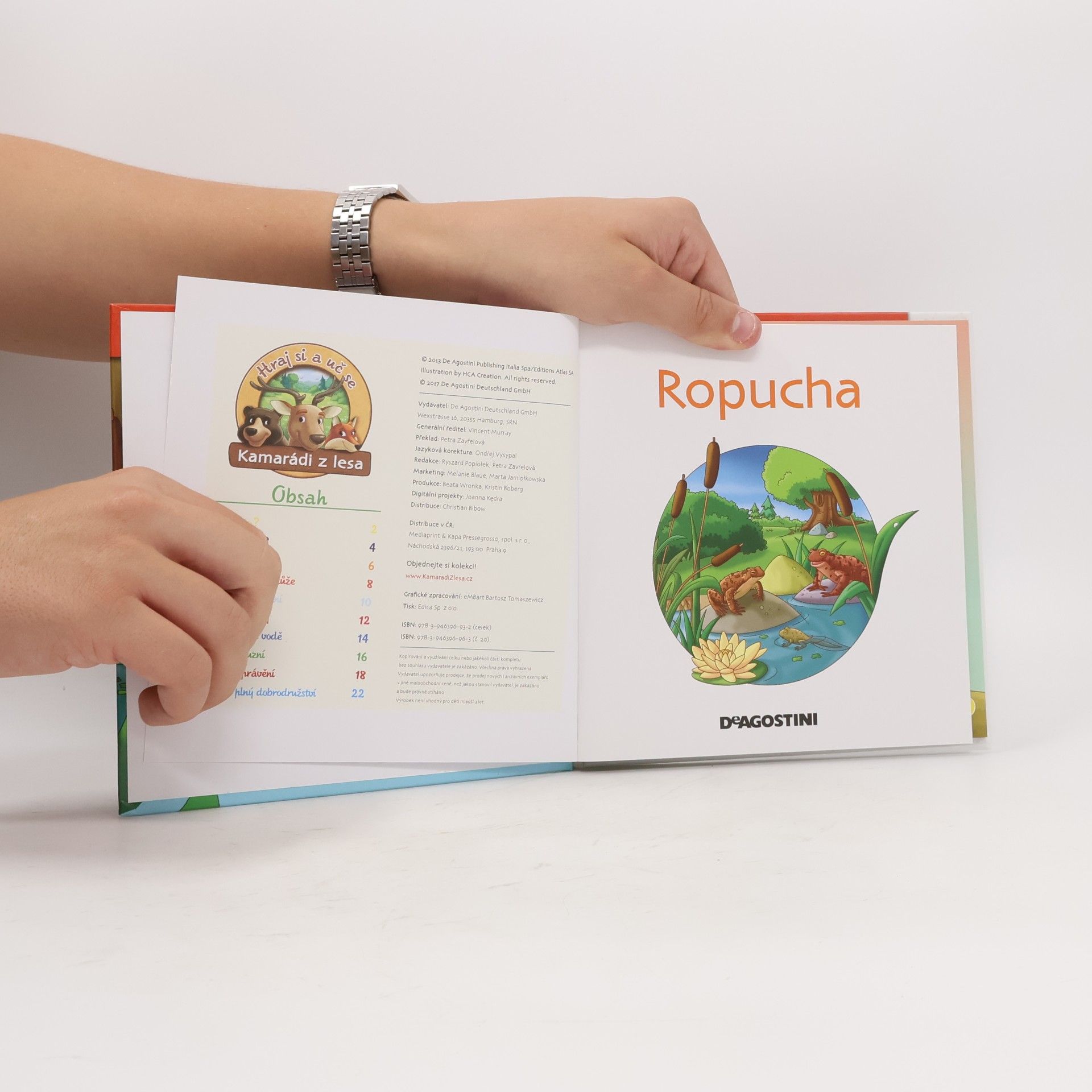 Kolektiv autorů Na okraji lesa 20. Ropucha