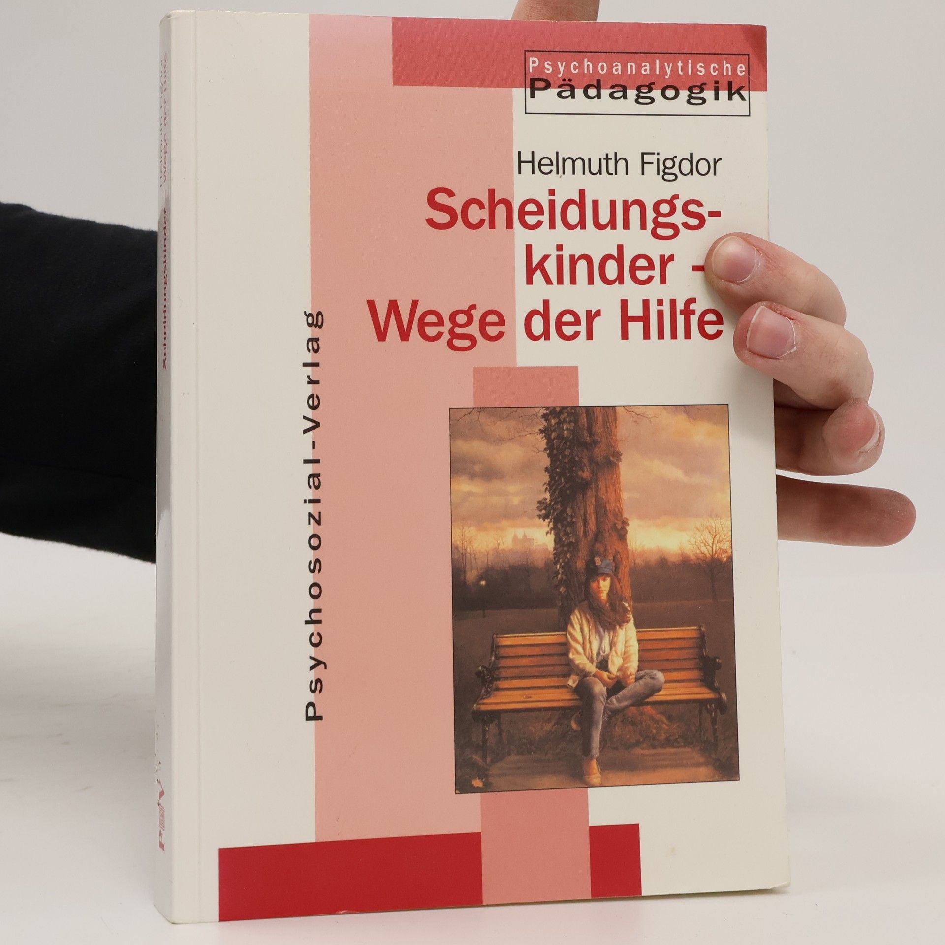 Scheidungskinder - Wege der Hilfe