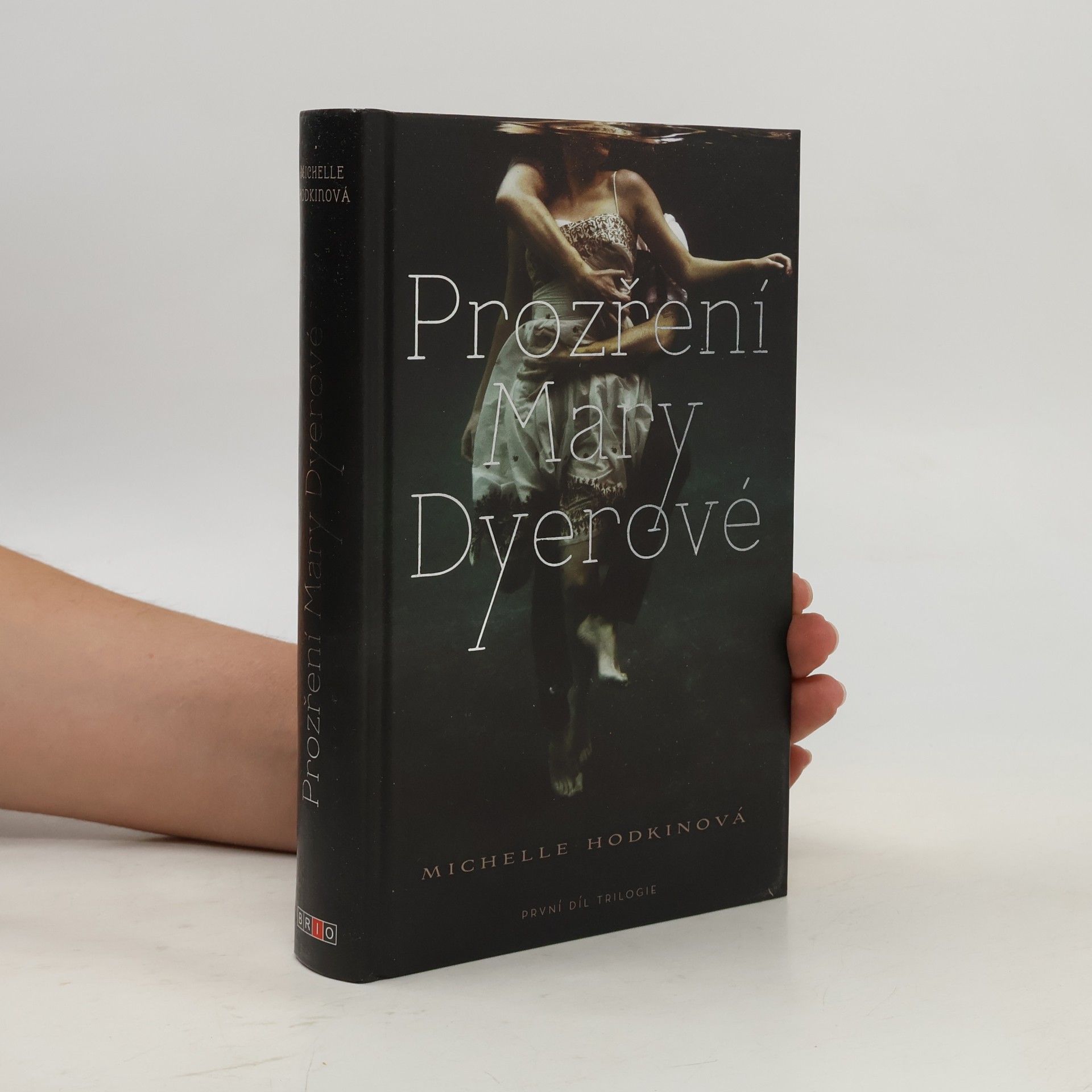 Michelle Hodkin Prozření Mary Dyerové