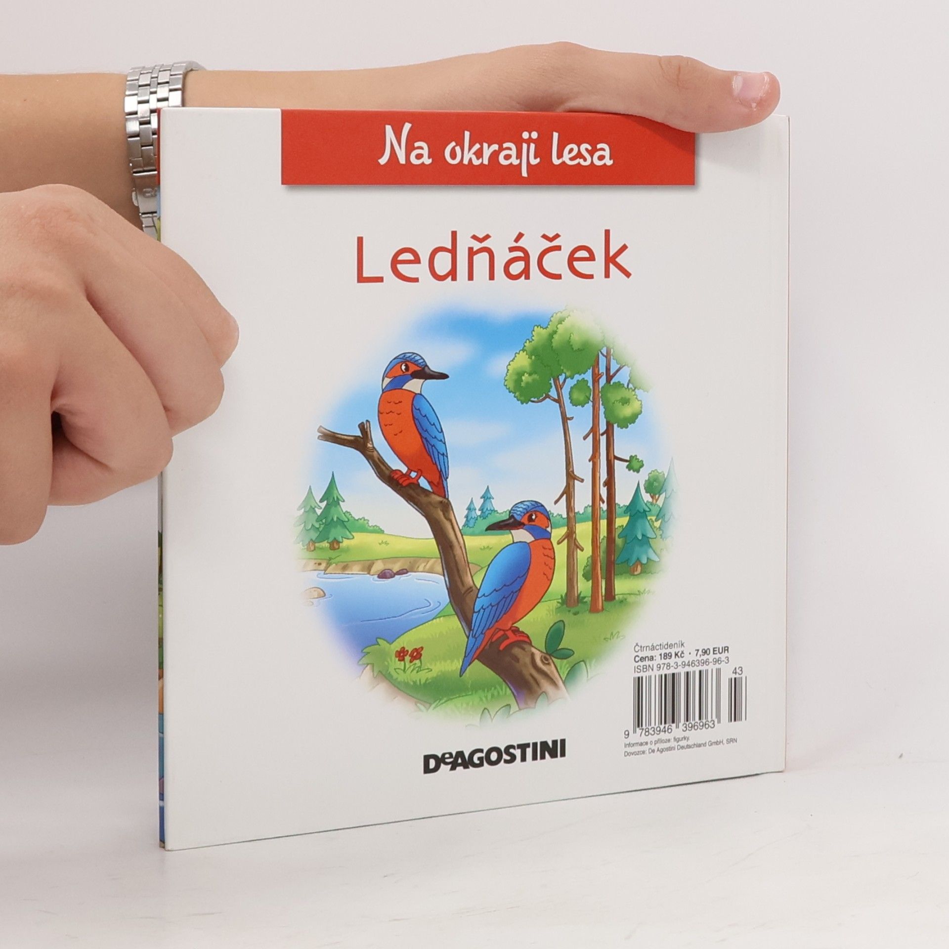 Kolektiv autorů Na okraji lesa 31. Ledňáček