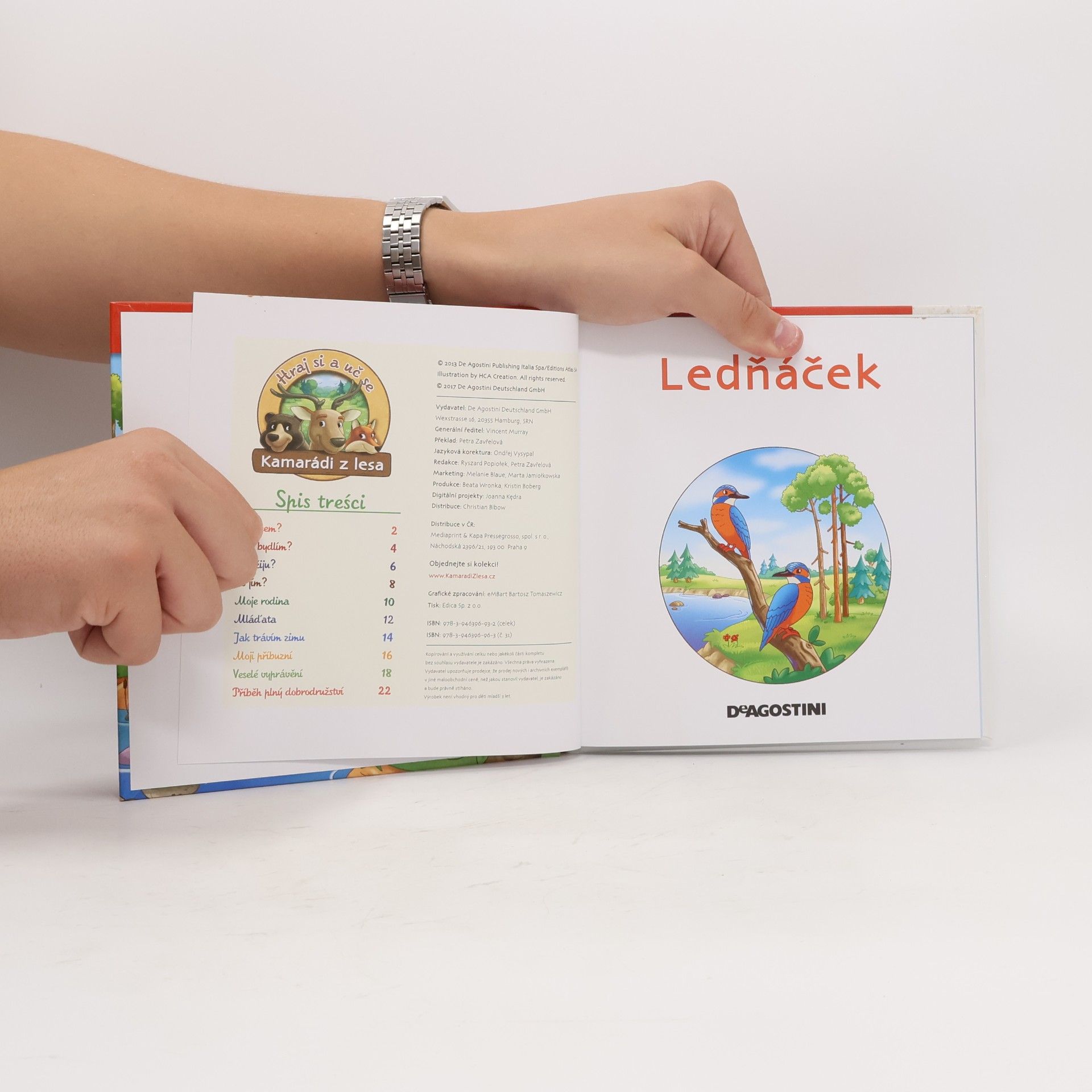 Kolektiv autorů Na okraji lesa 31. Ledňáček