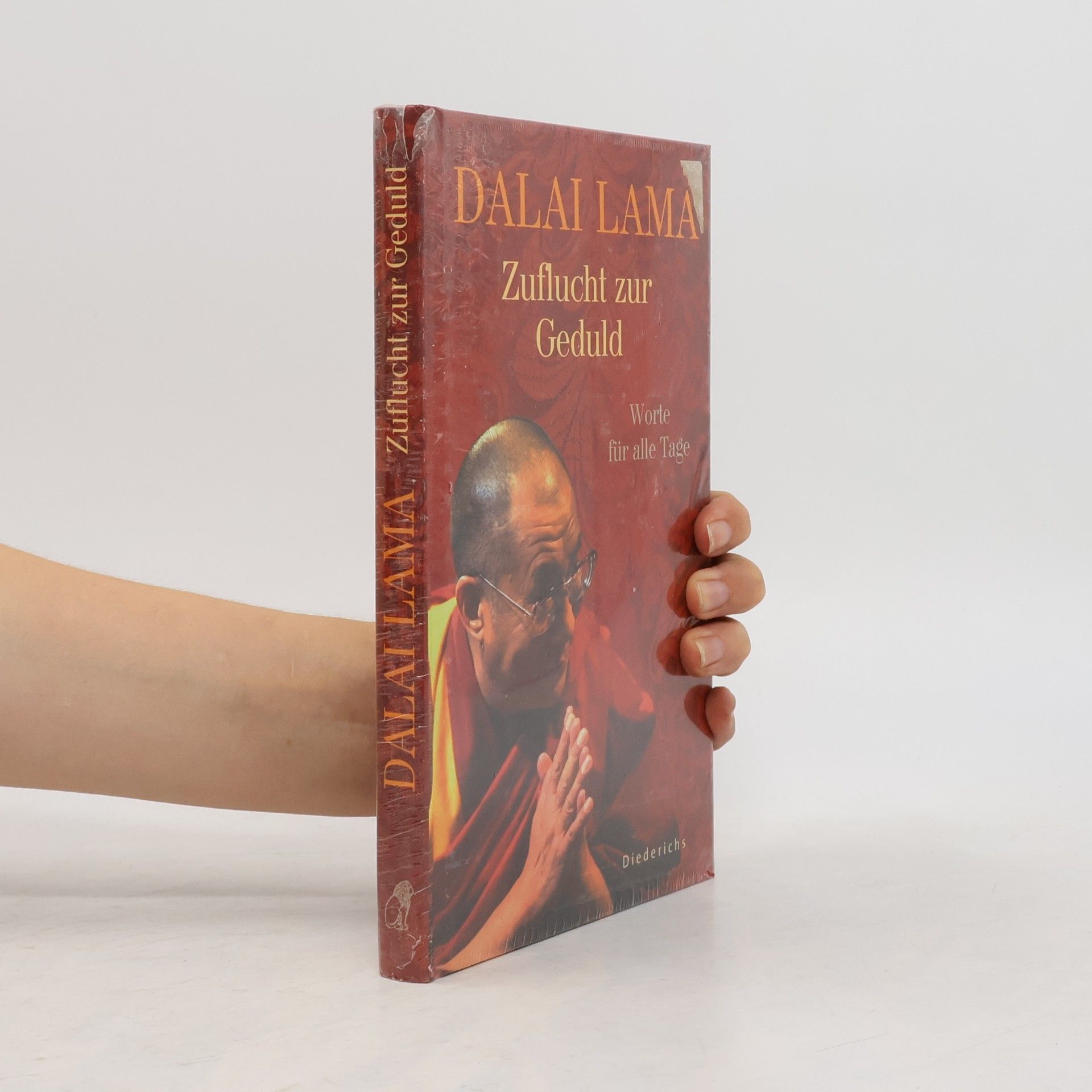Dalaï-Lama Zuflucht zur Geduld