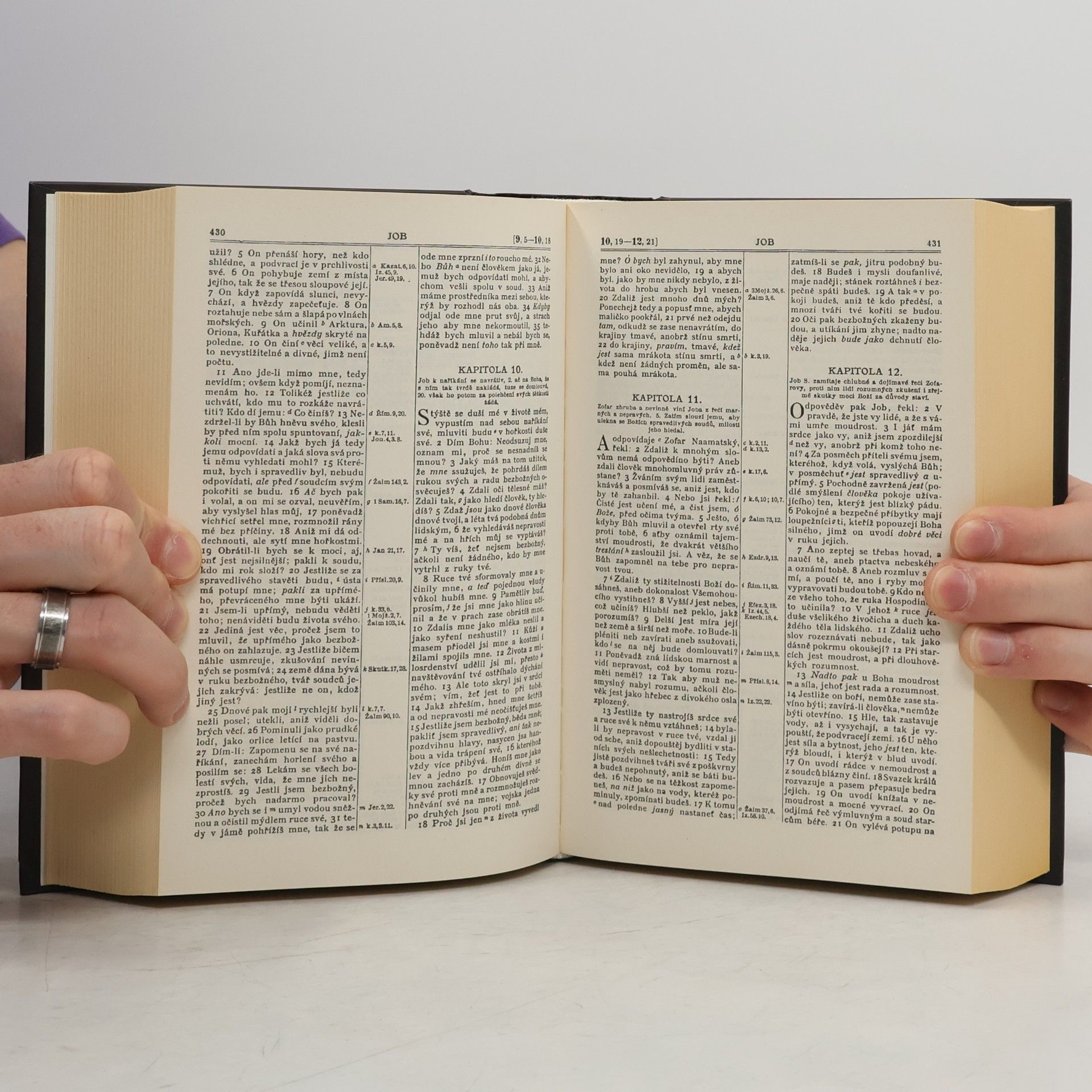 Collectif d'auteurs Bible svatá, aneb, Všecka svatá písma Starého i Nového zákona