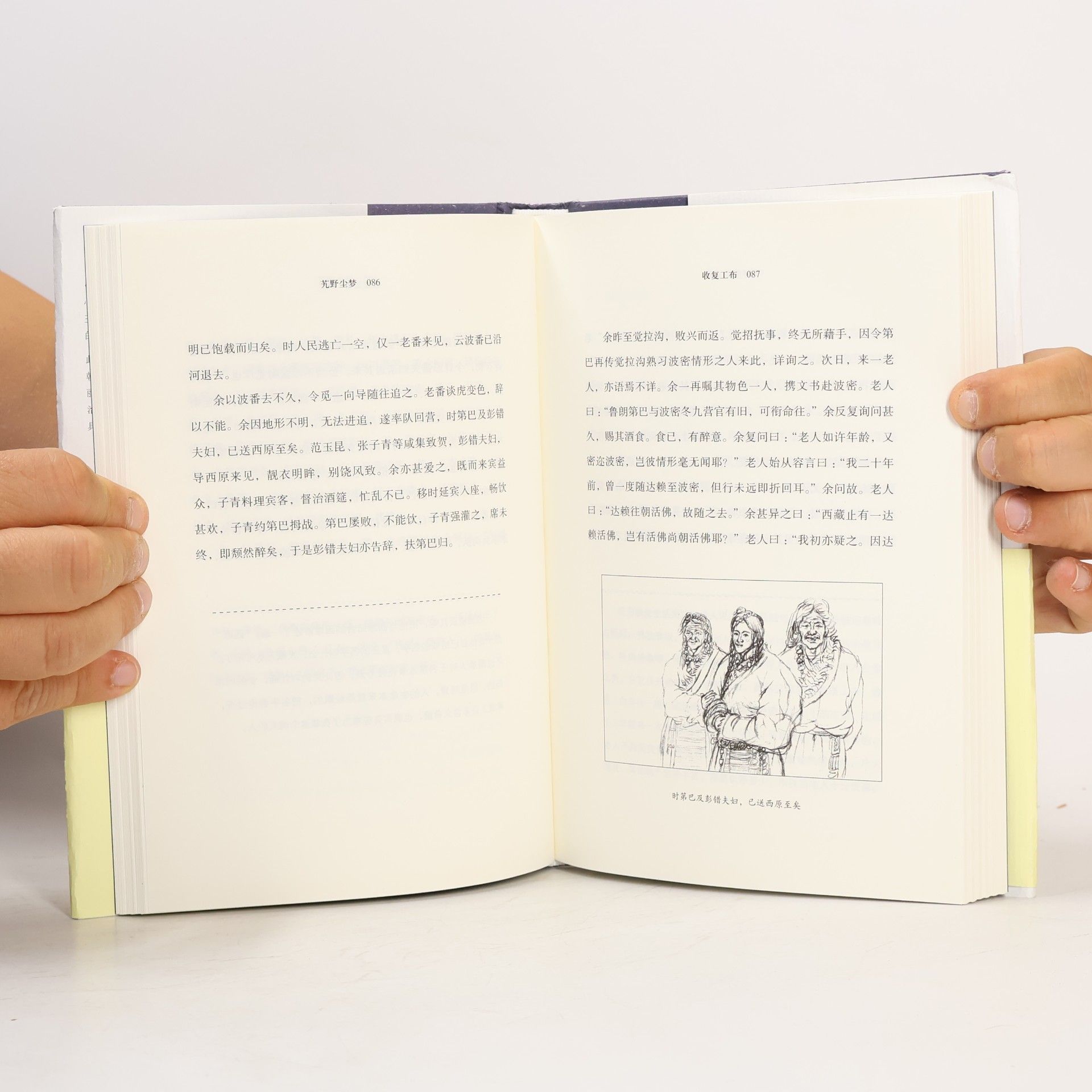 陈渠珍 荒野尘梦
