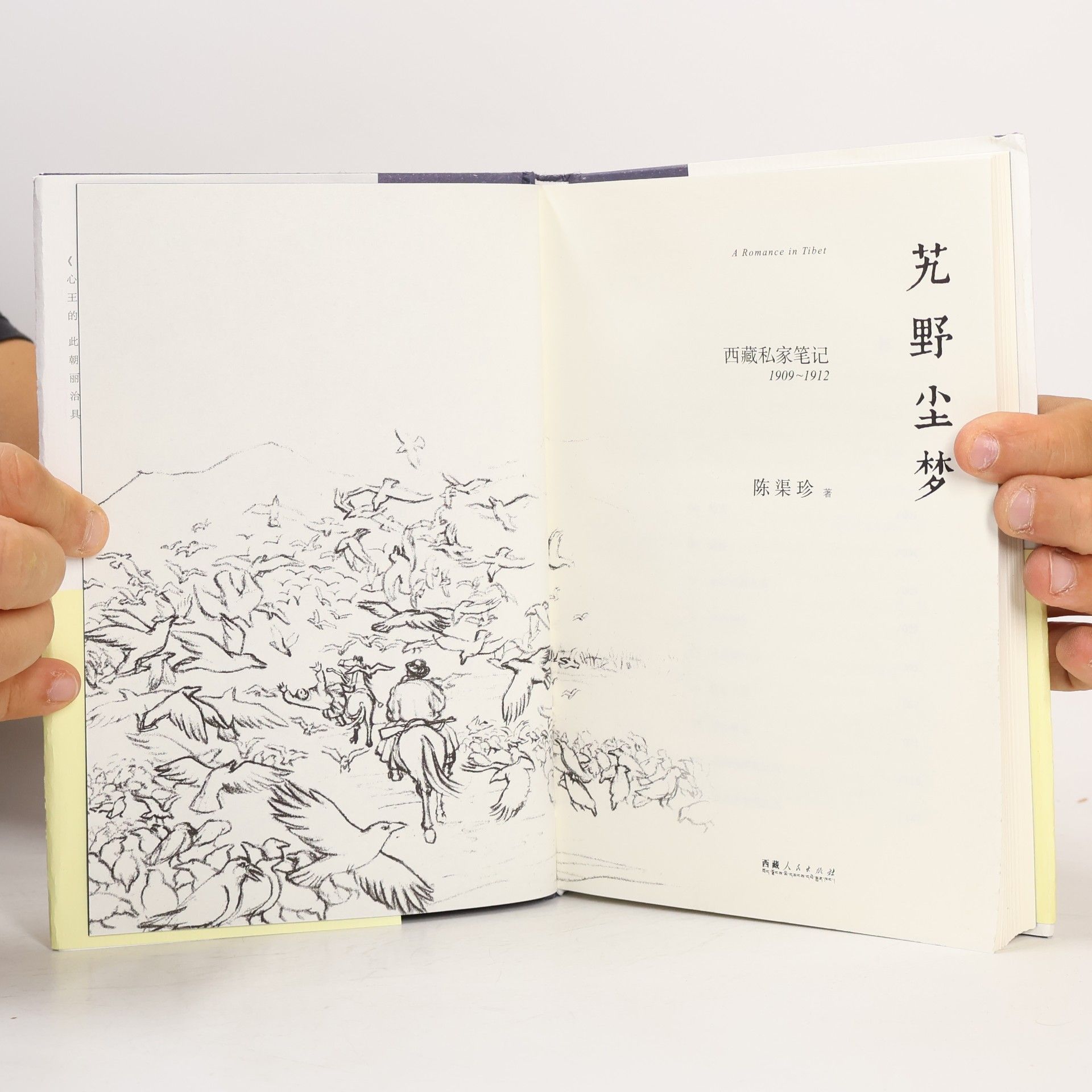 陈渠珍 荒野尘梦