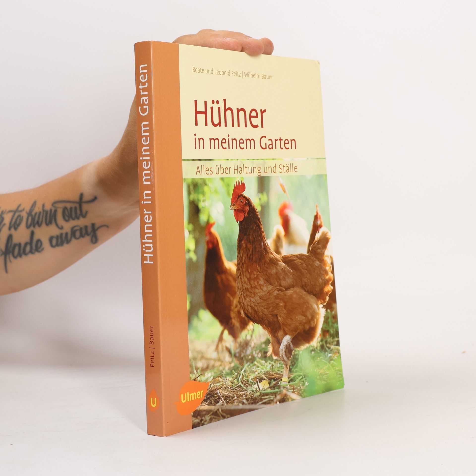 Beate Peitz Hühner in meinem Garten