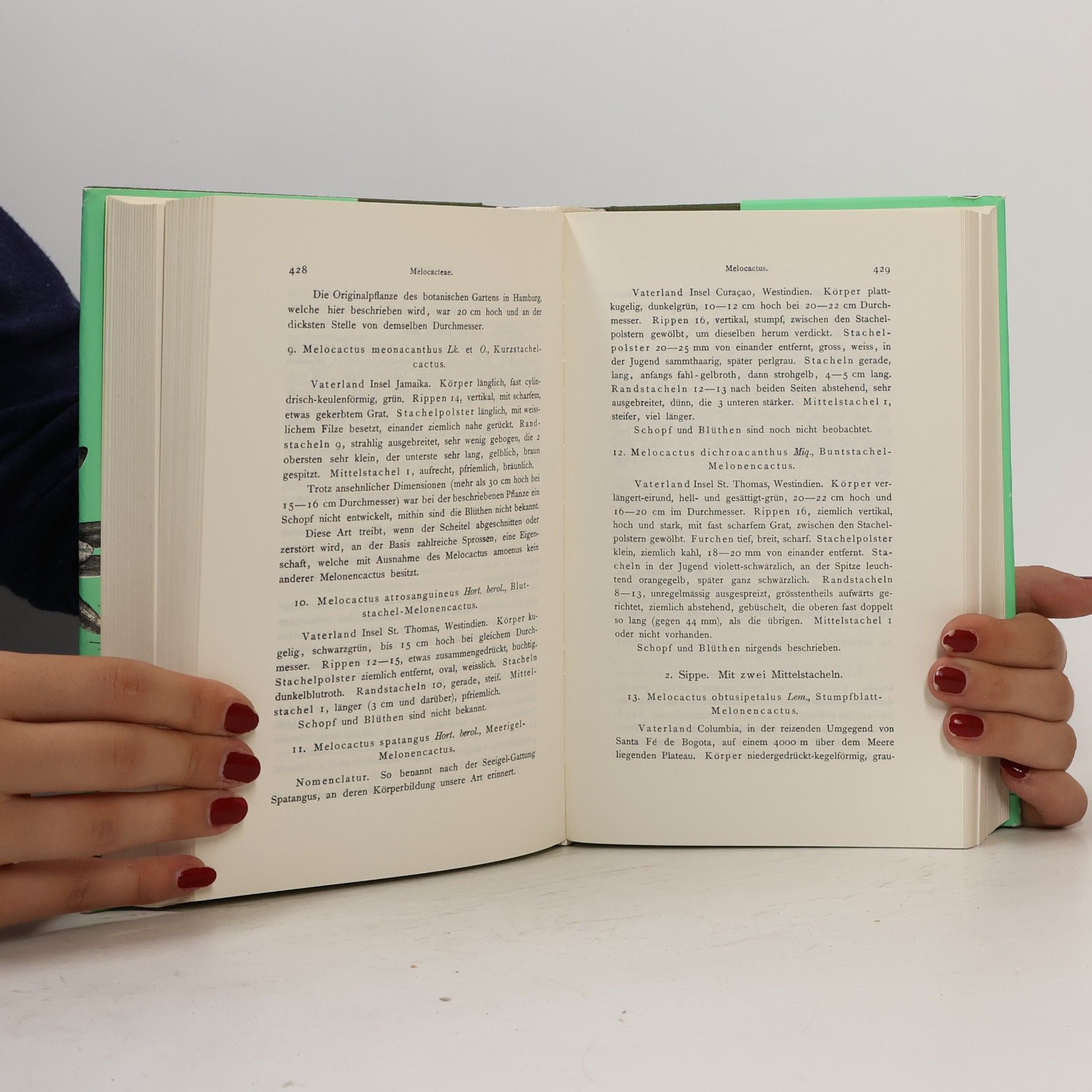 Carl Friedrich Förster Handbuch der Kakteenkunde
