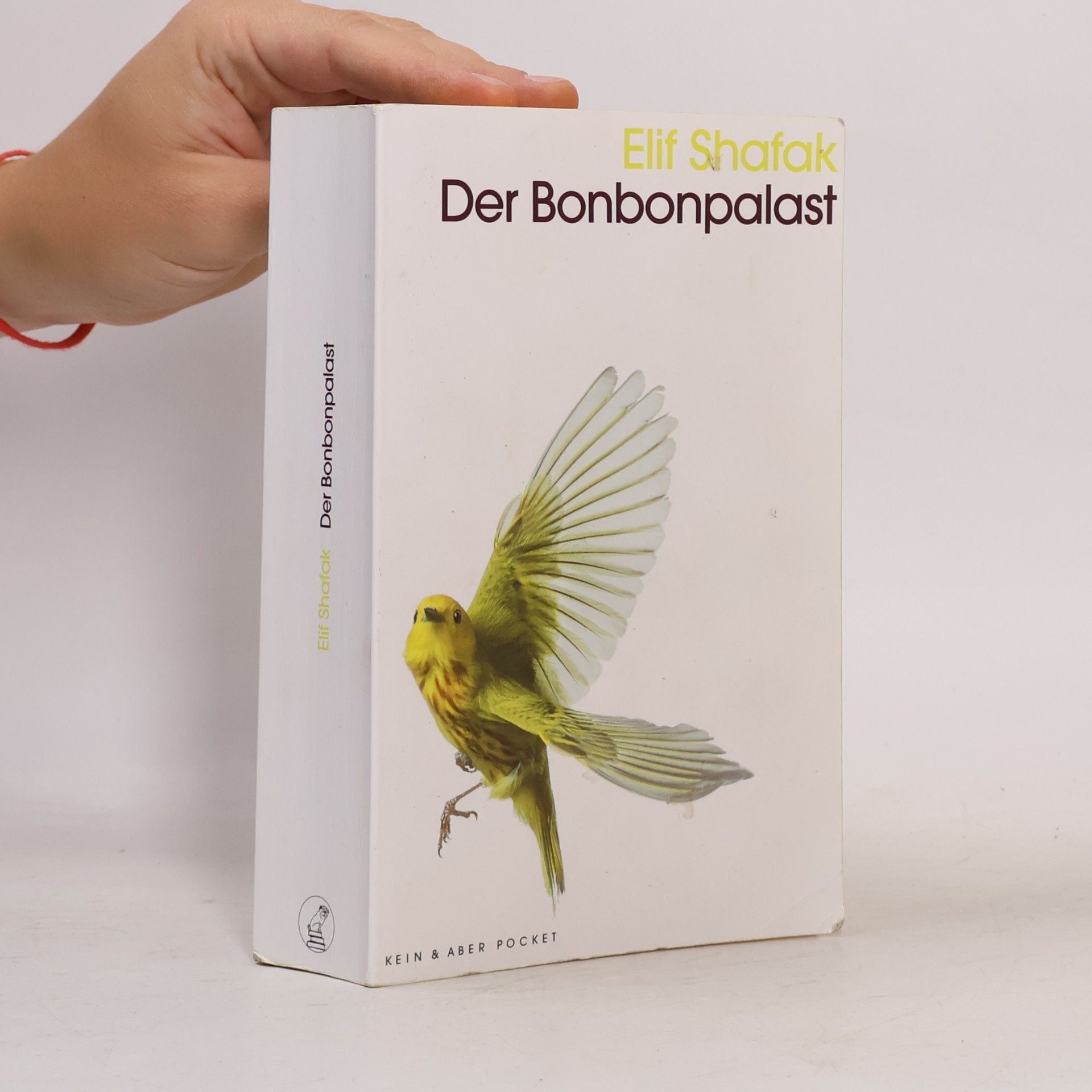 Elif Shafak Der Bonbonpalast