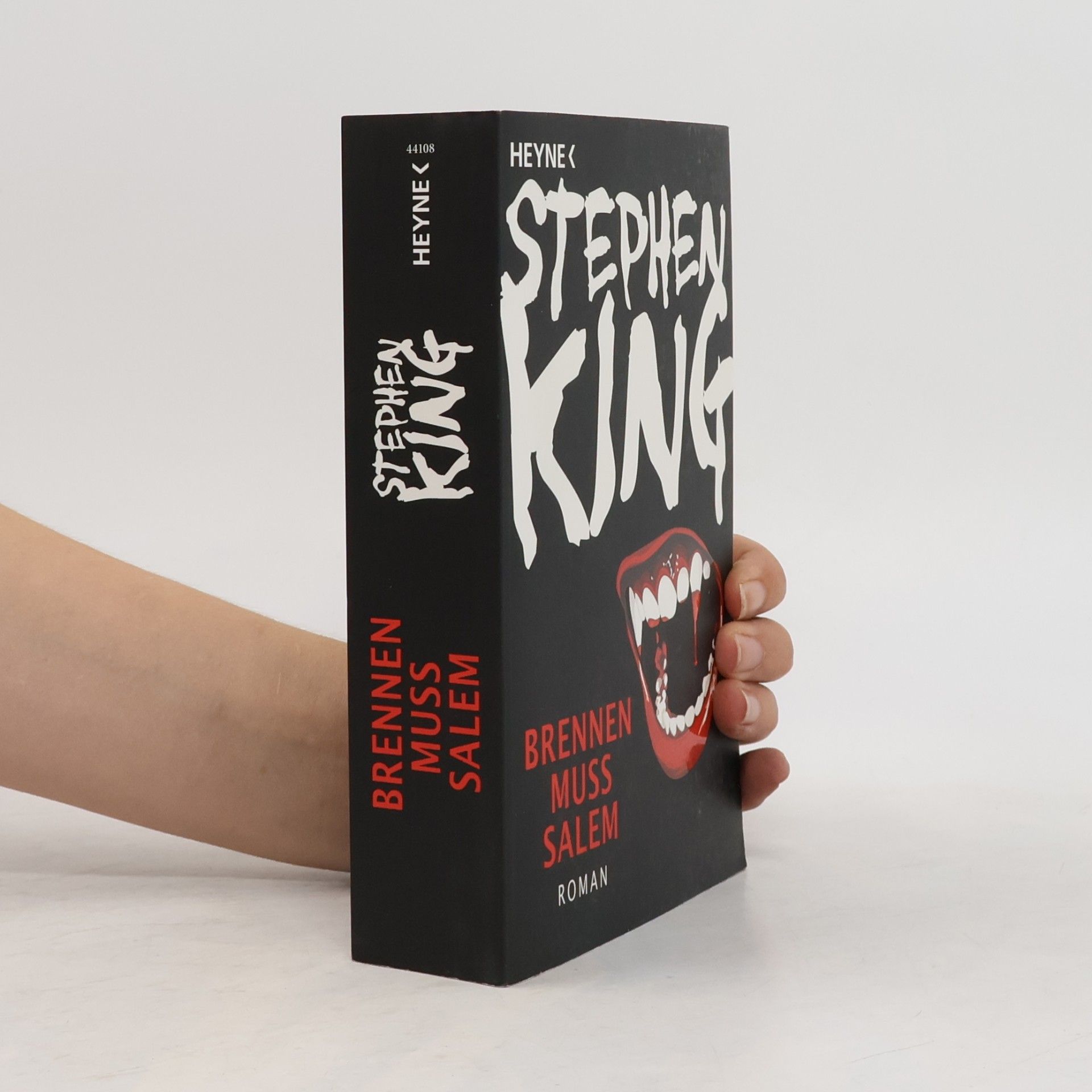 Stephen King Brennen muss Salem