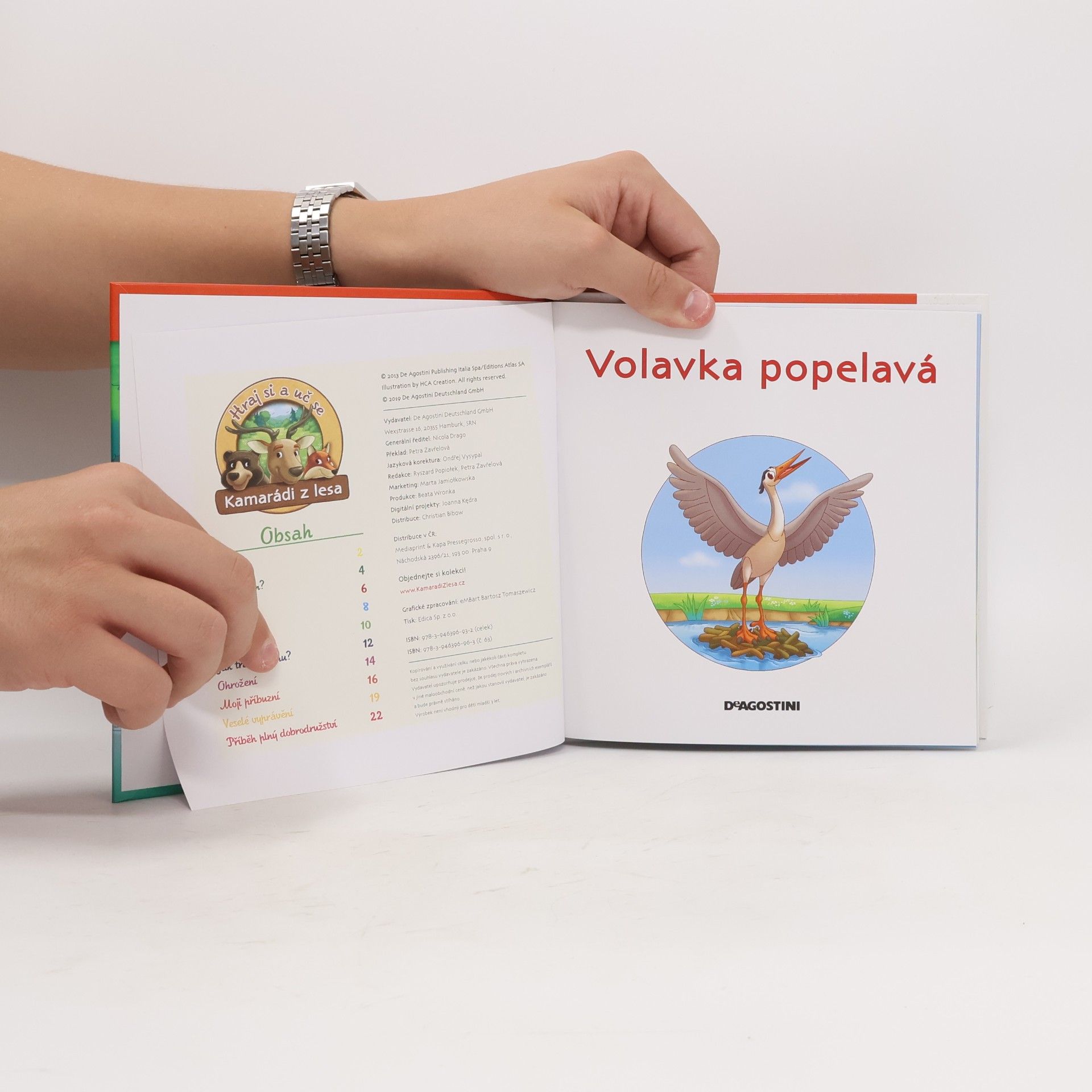 Auteurscollectief Na okraji lesa 63. Volavka