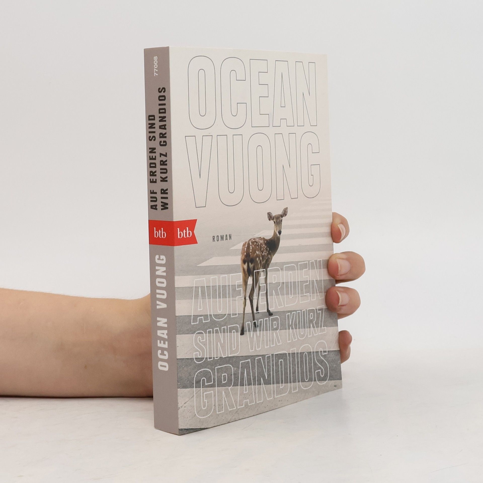 Ocean Vuong Auf Erden sind wir kurz grandios
